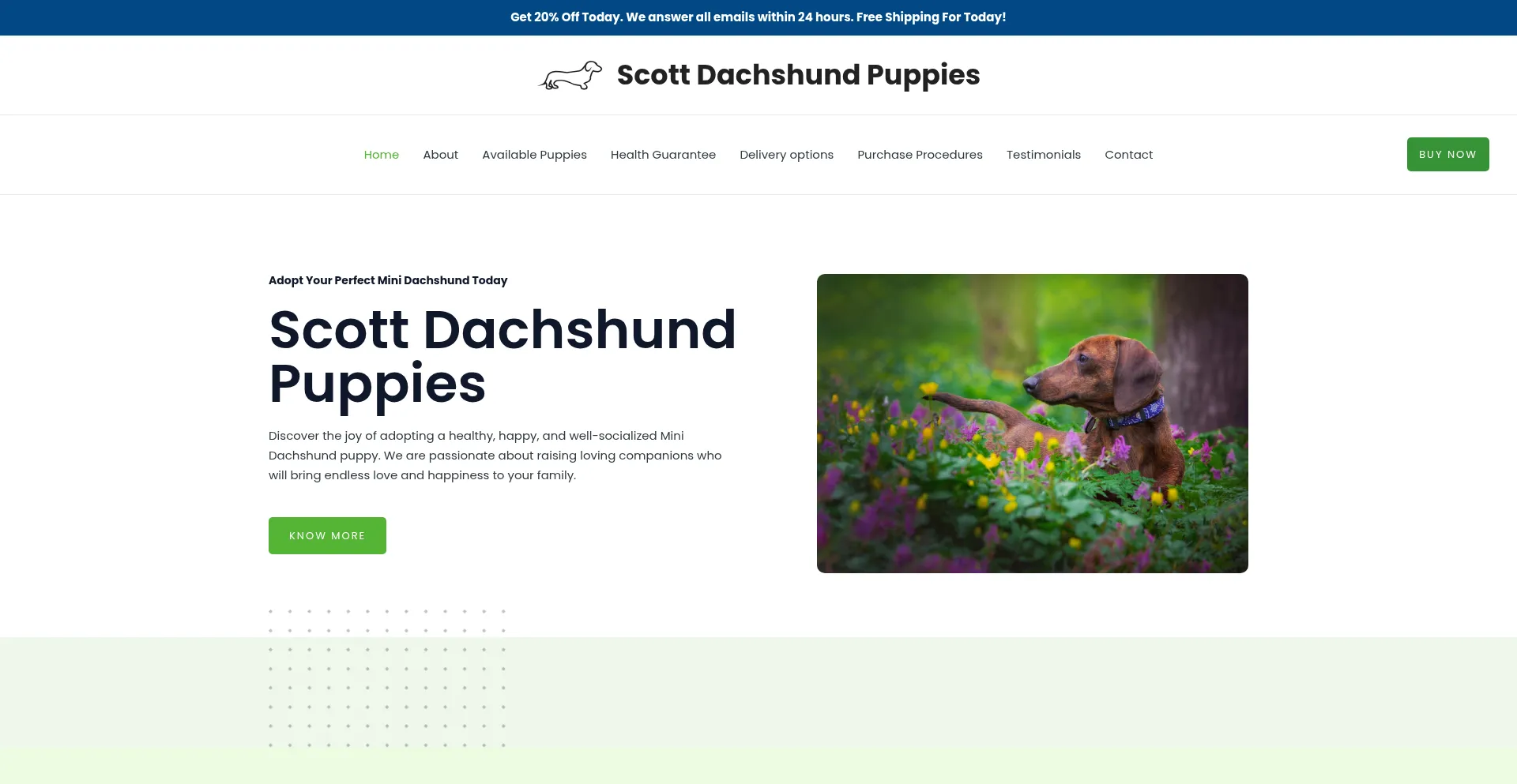 Website screenshot of Scottdachshundpuppies.com