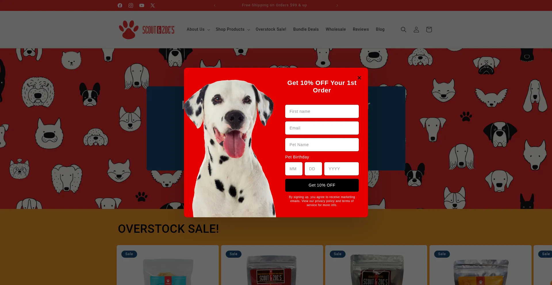 Scoutandzoes.com