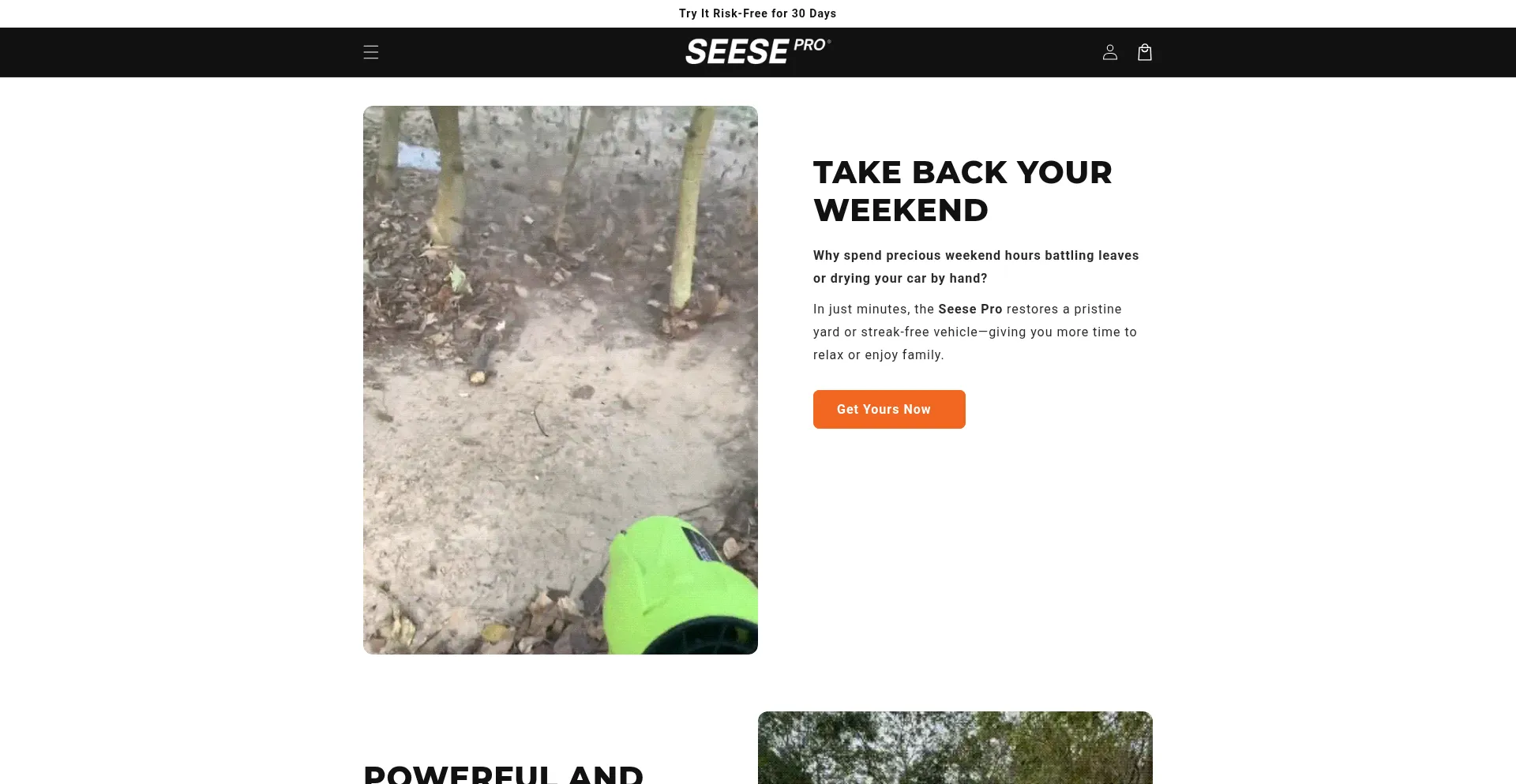 Website screenshot of Seesepro.com