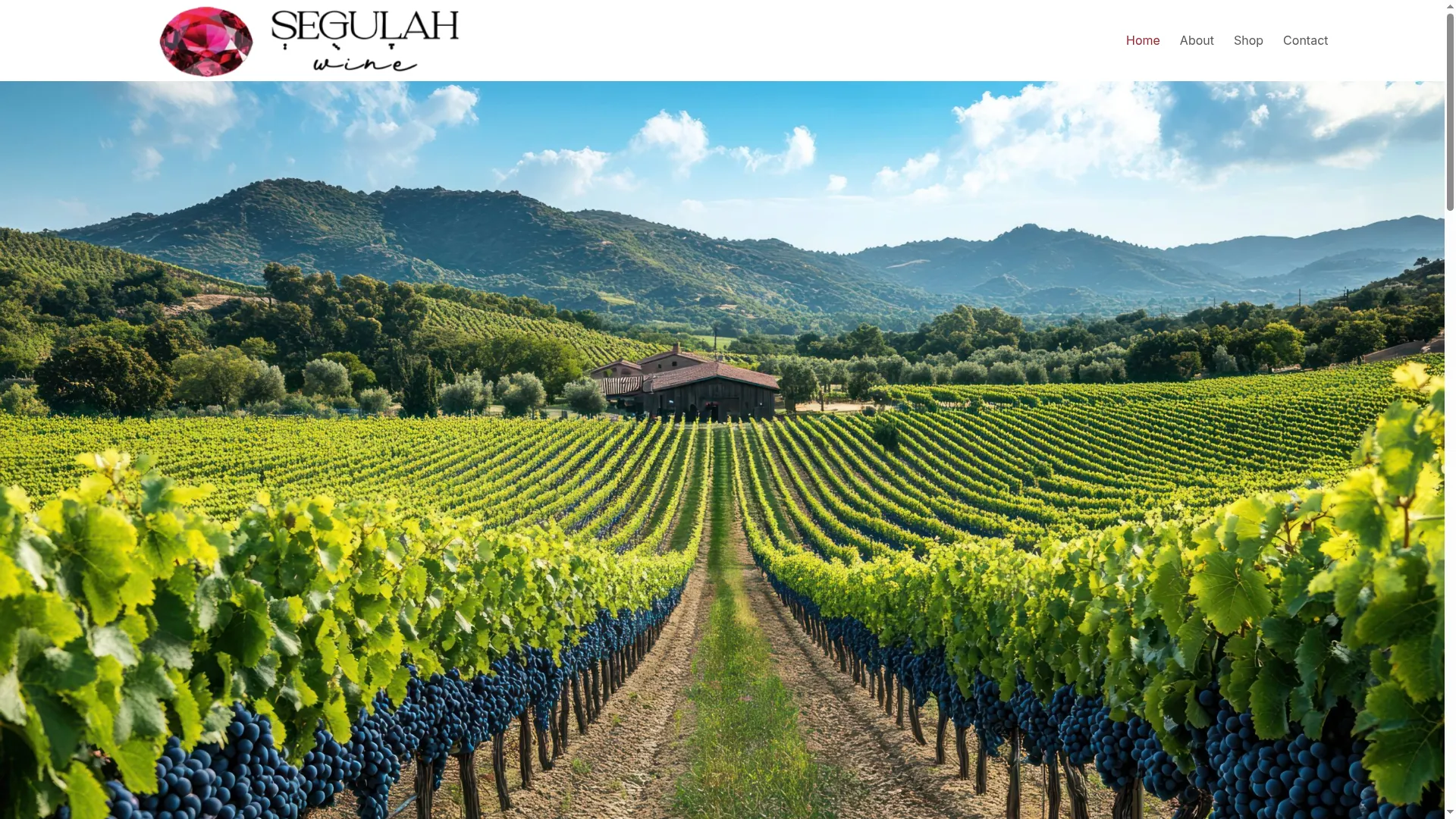 Segulahwine.com