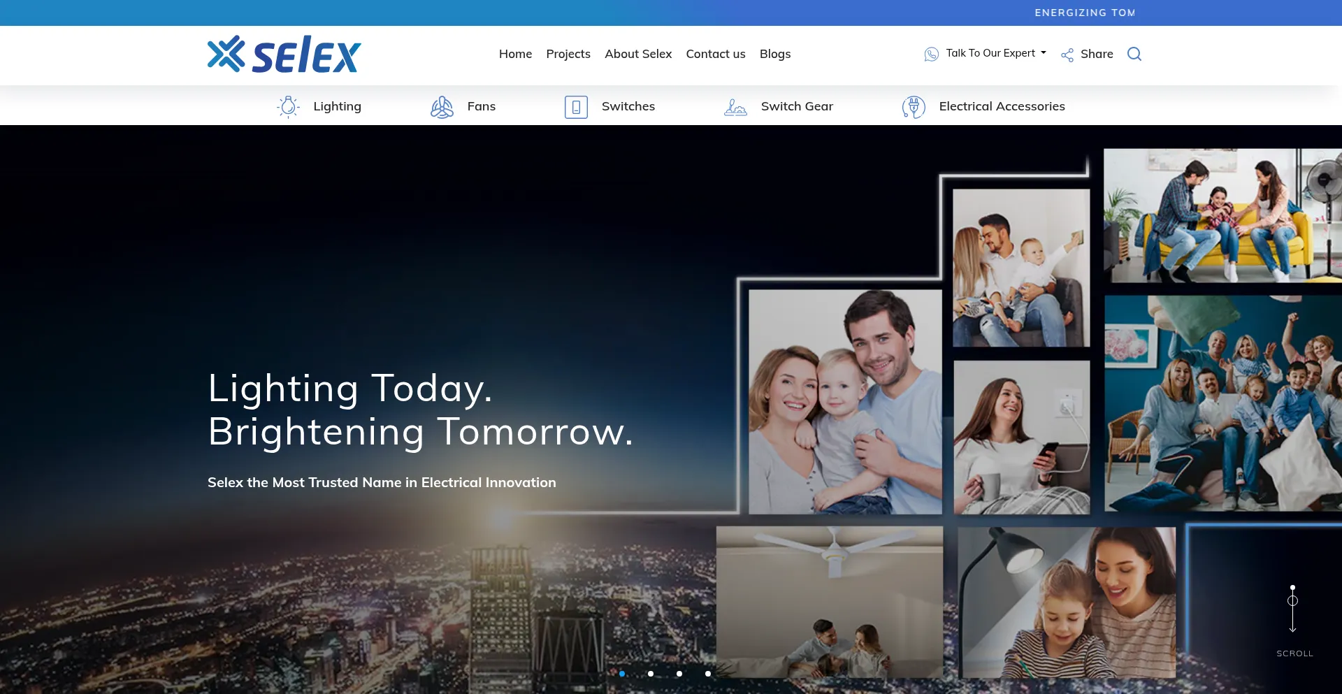 Website screenshot of Selex.com