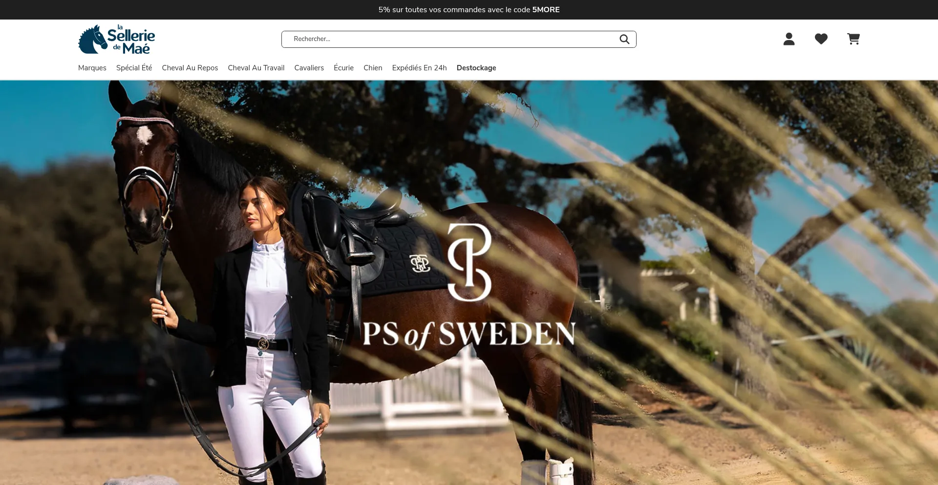 Website screenshot of Selleriemae.com