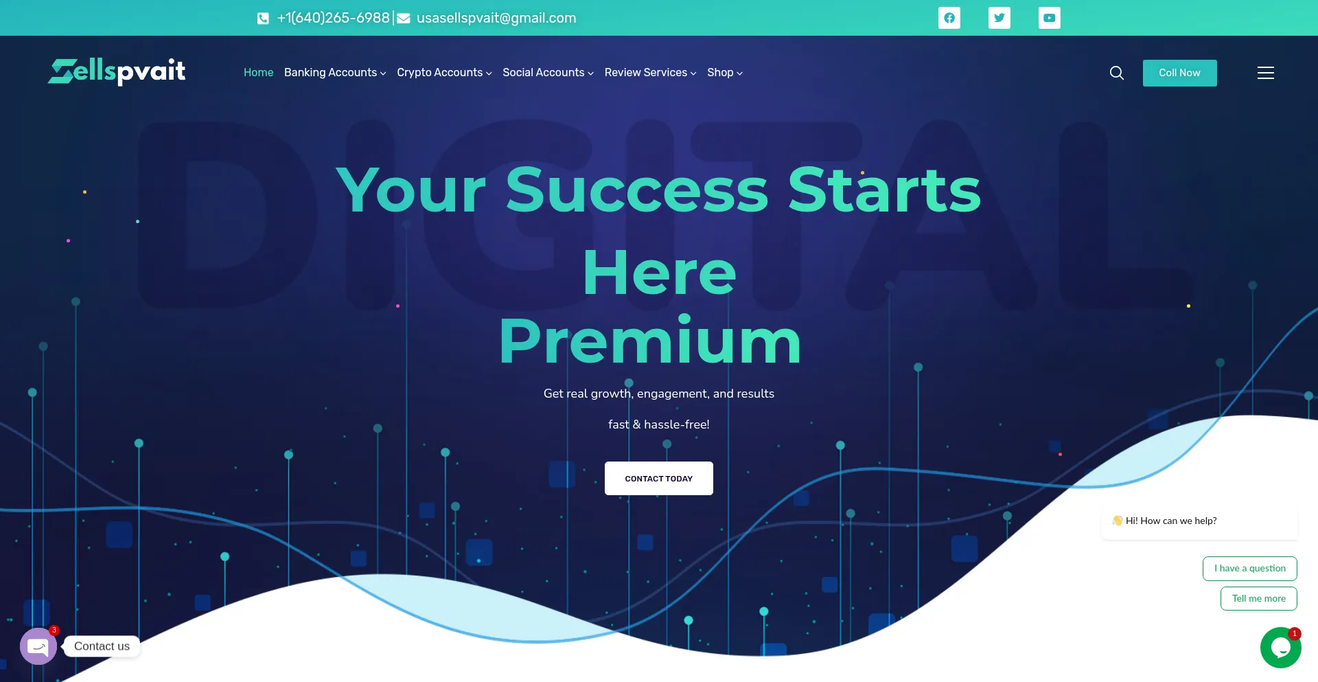 Website screenshot of Sellspvait.com