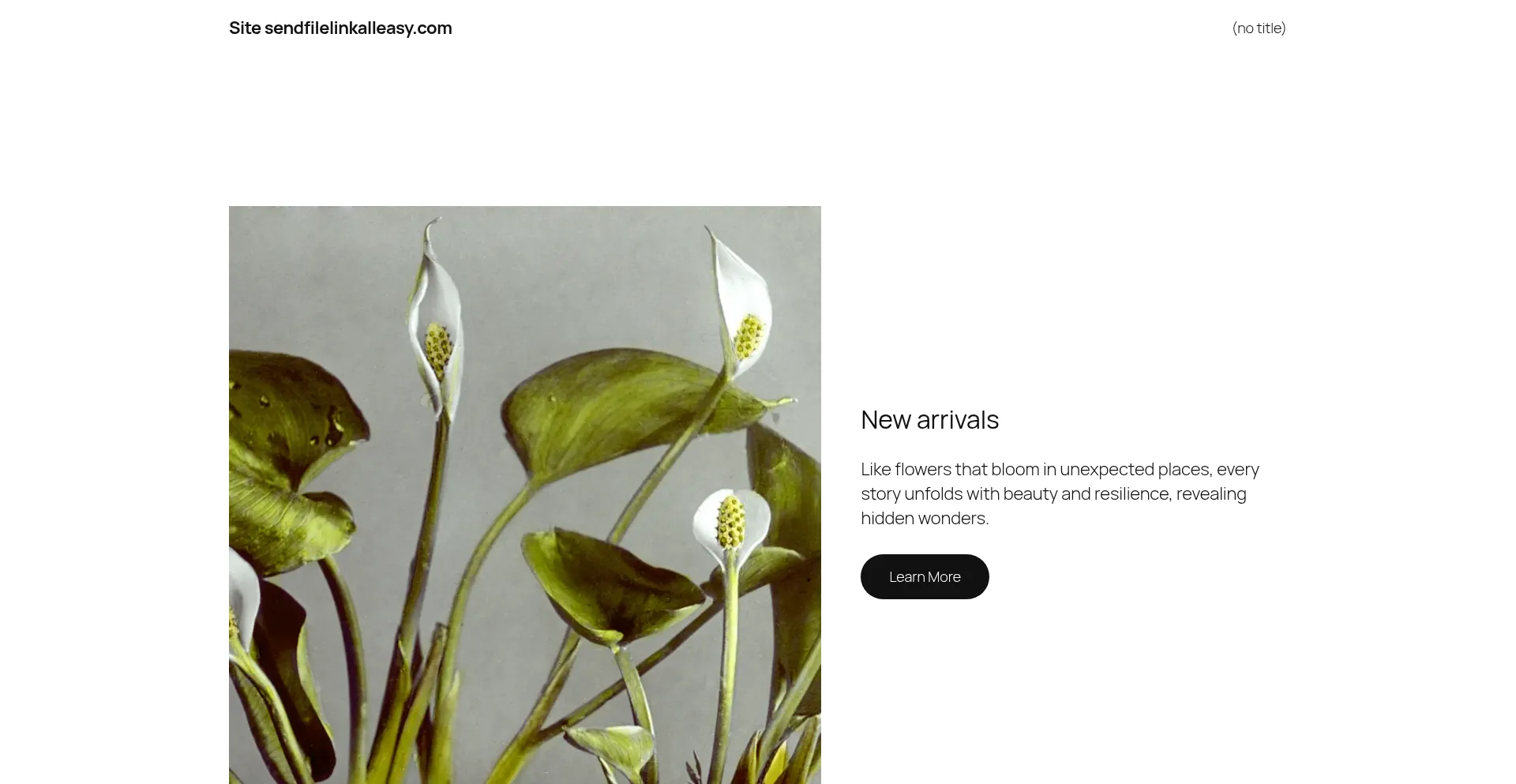 Website screenshot of Sendfilelinkalleasy.com