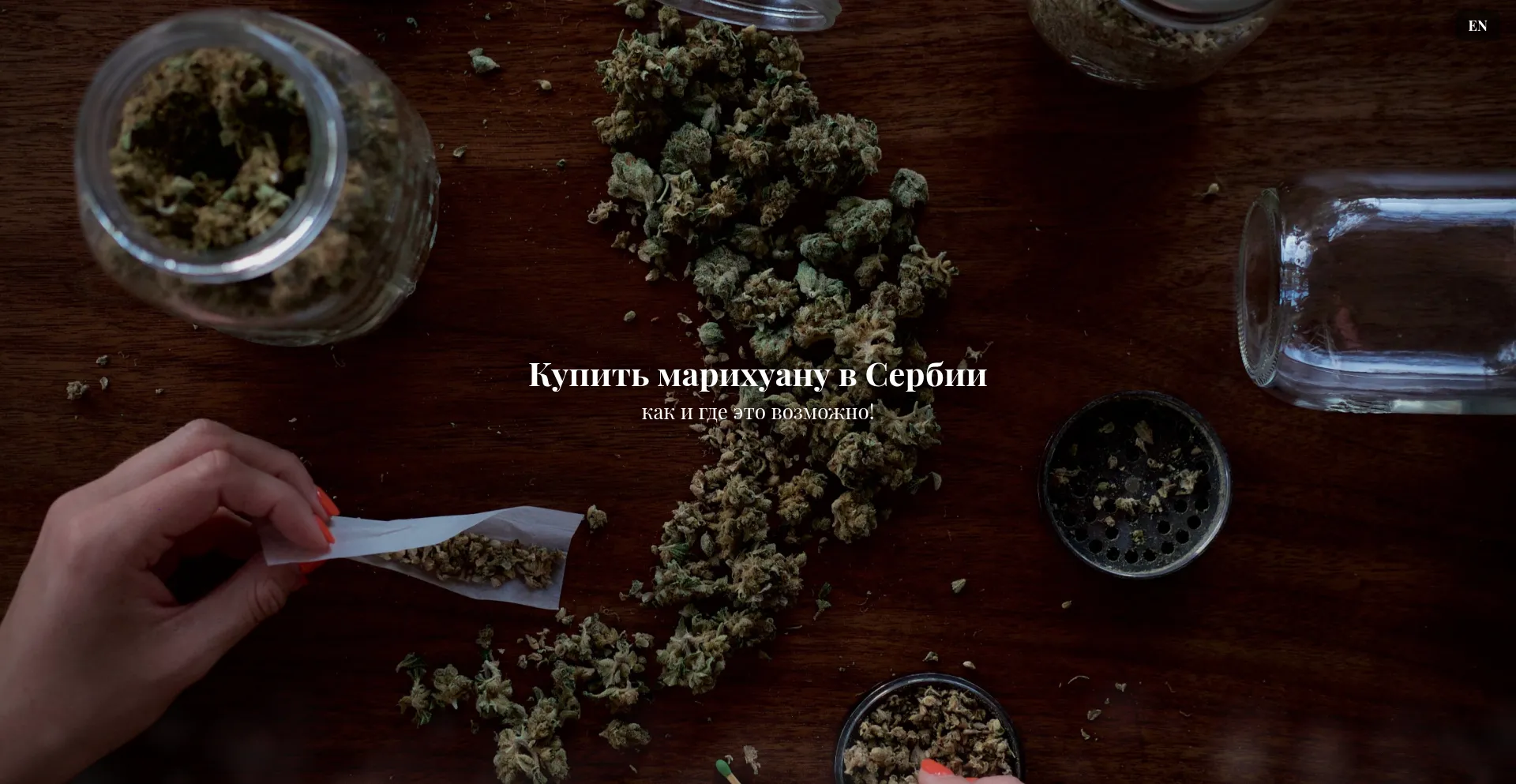 Website screenshot of Serbiagrow.com