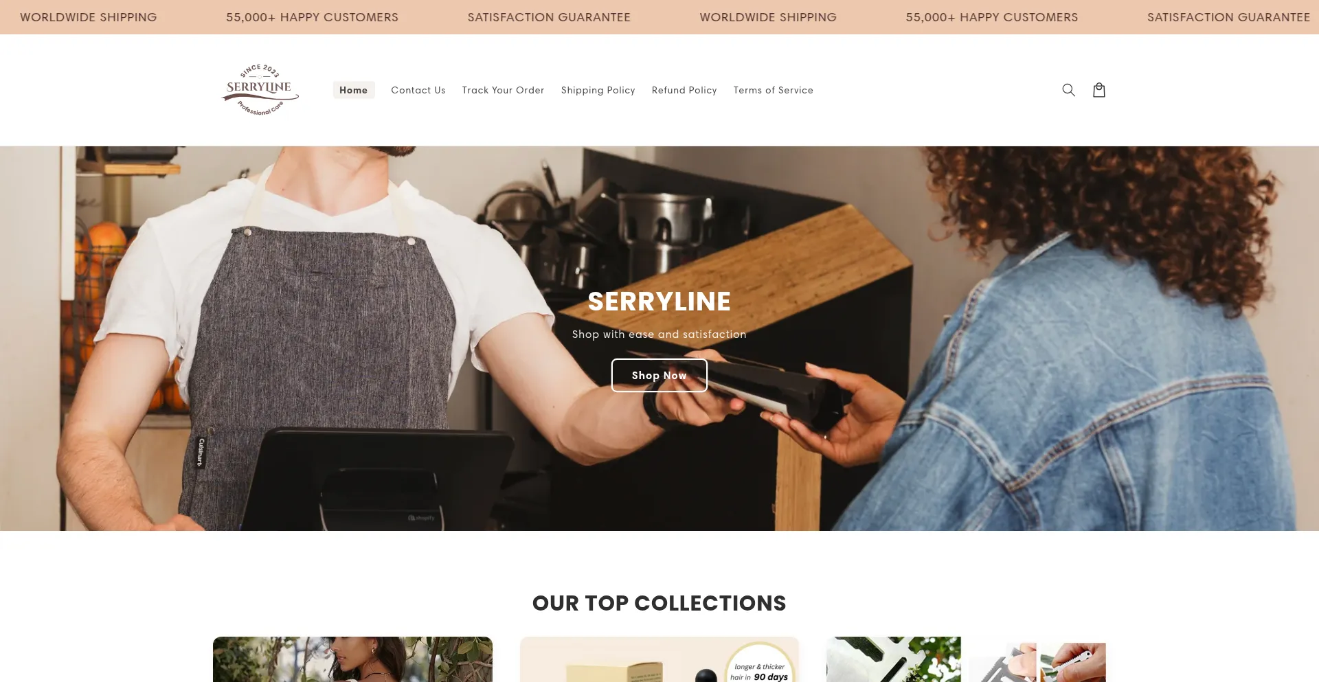Website screenshot of Serryline.com