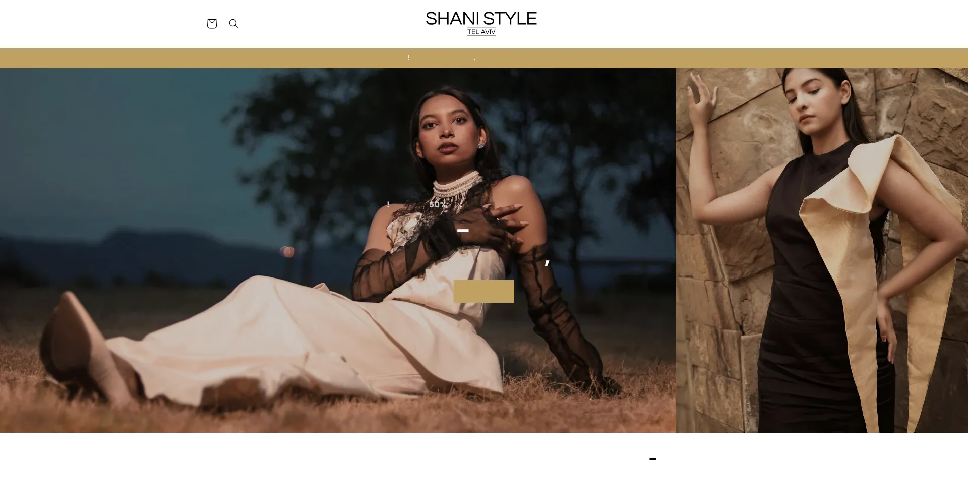 Website screenshot of Shanistyle.com