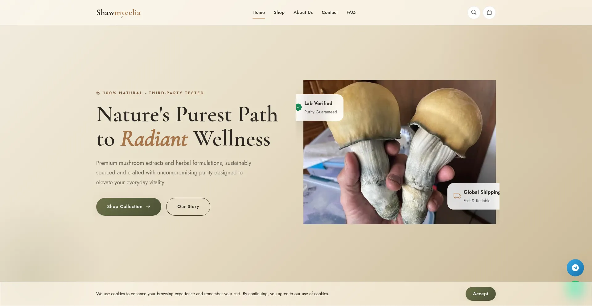 Shawmycelia.com