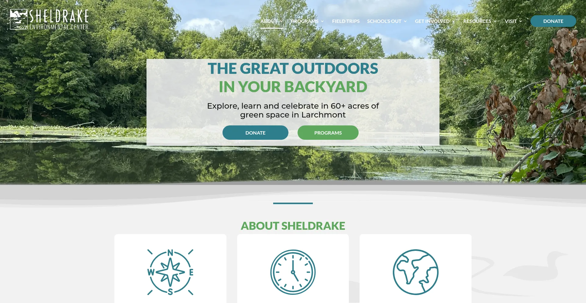 Sheldrakecenter.org
