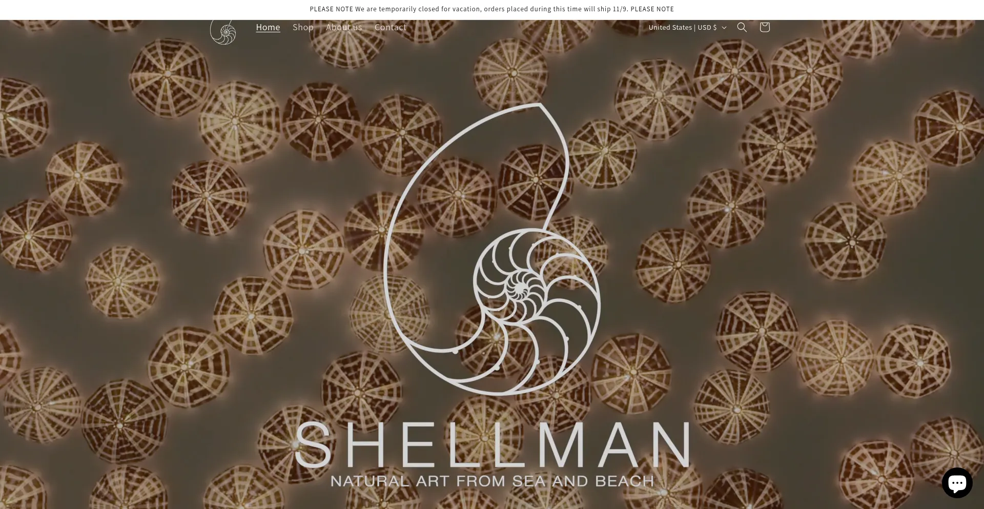 Website screenshot of Shellman.shop
