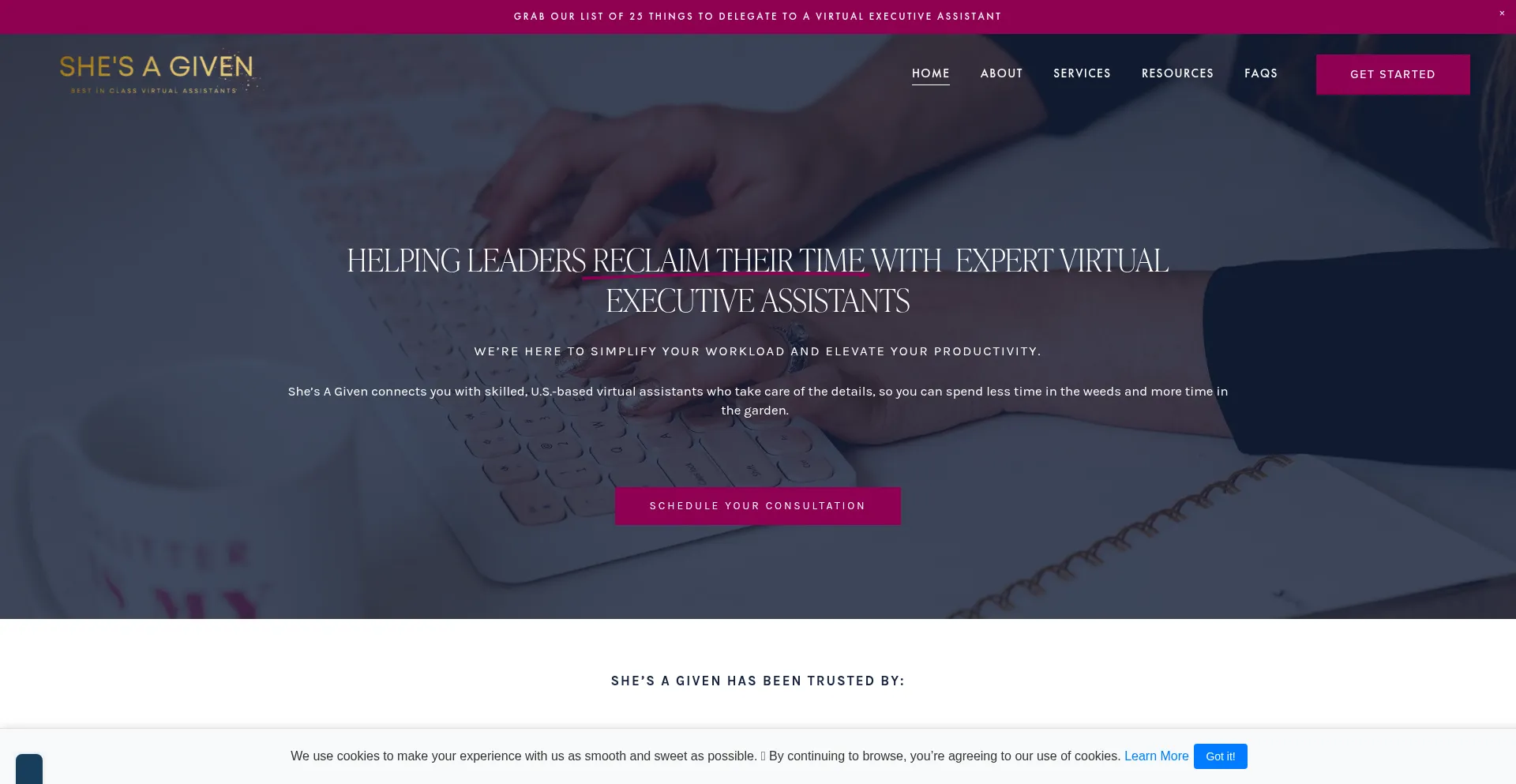 Website screenshot of Shesagiven.com