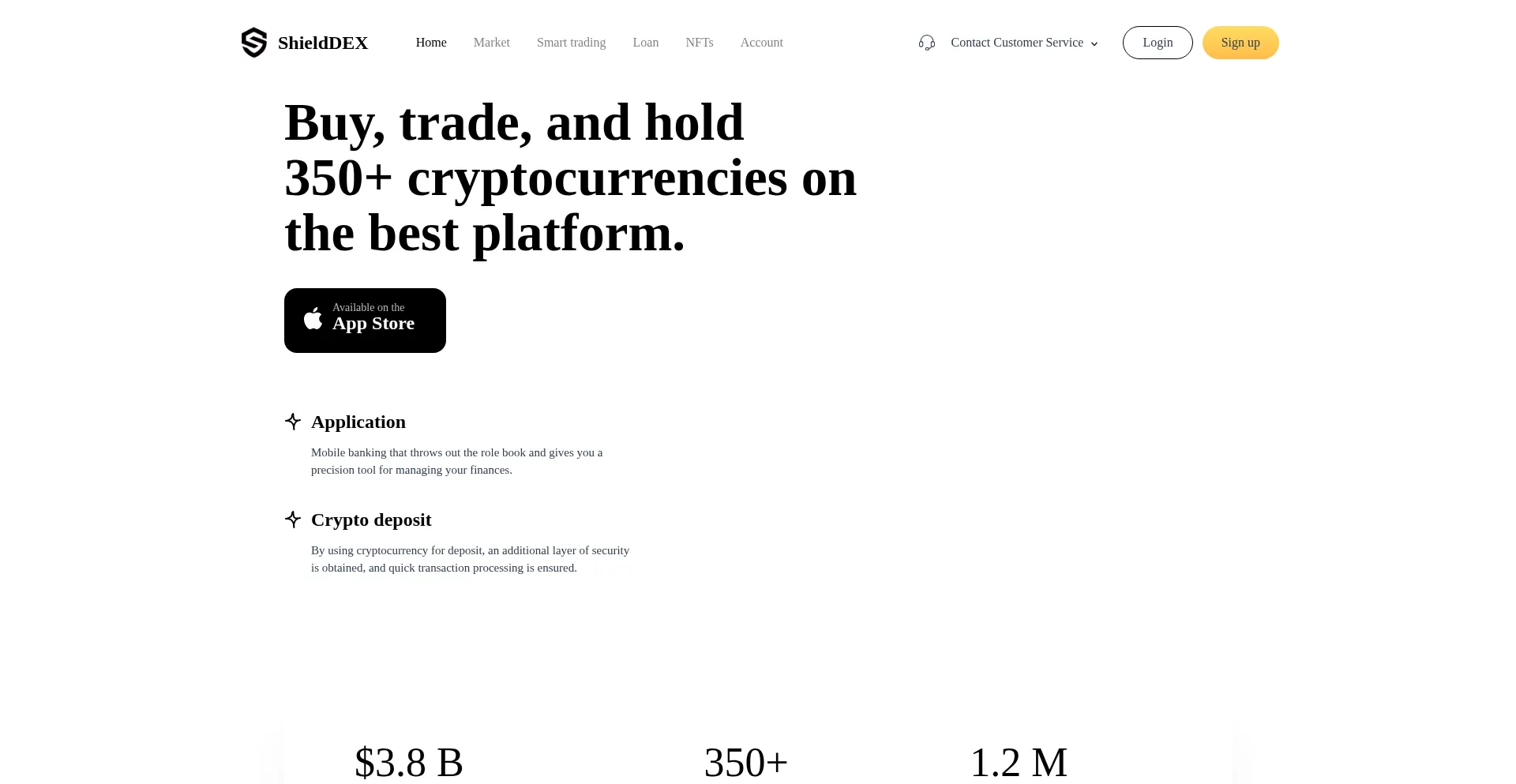 Website screenshot of Shieldeex.top
