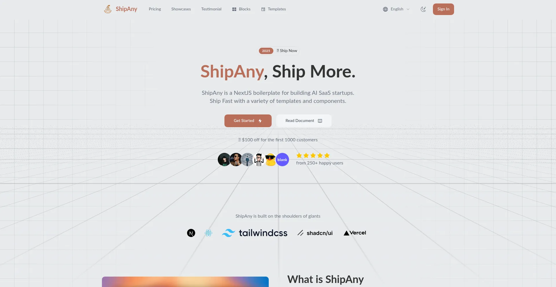 Website screenshot of Shipany.ai