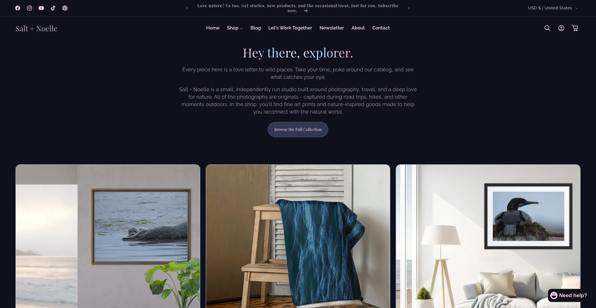 Website screenshot of Shop.saltnoelle.com