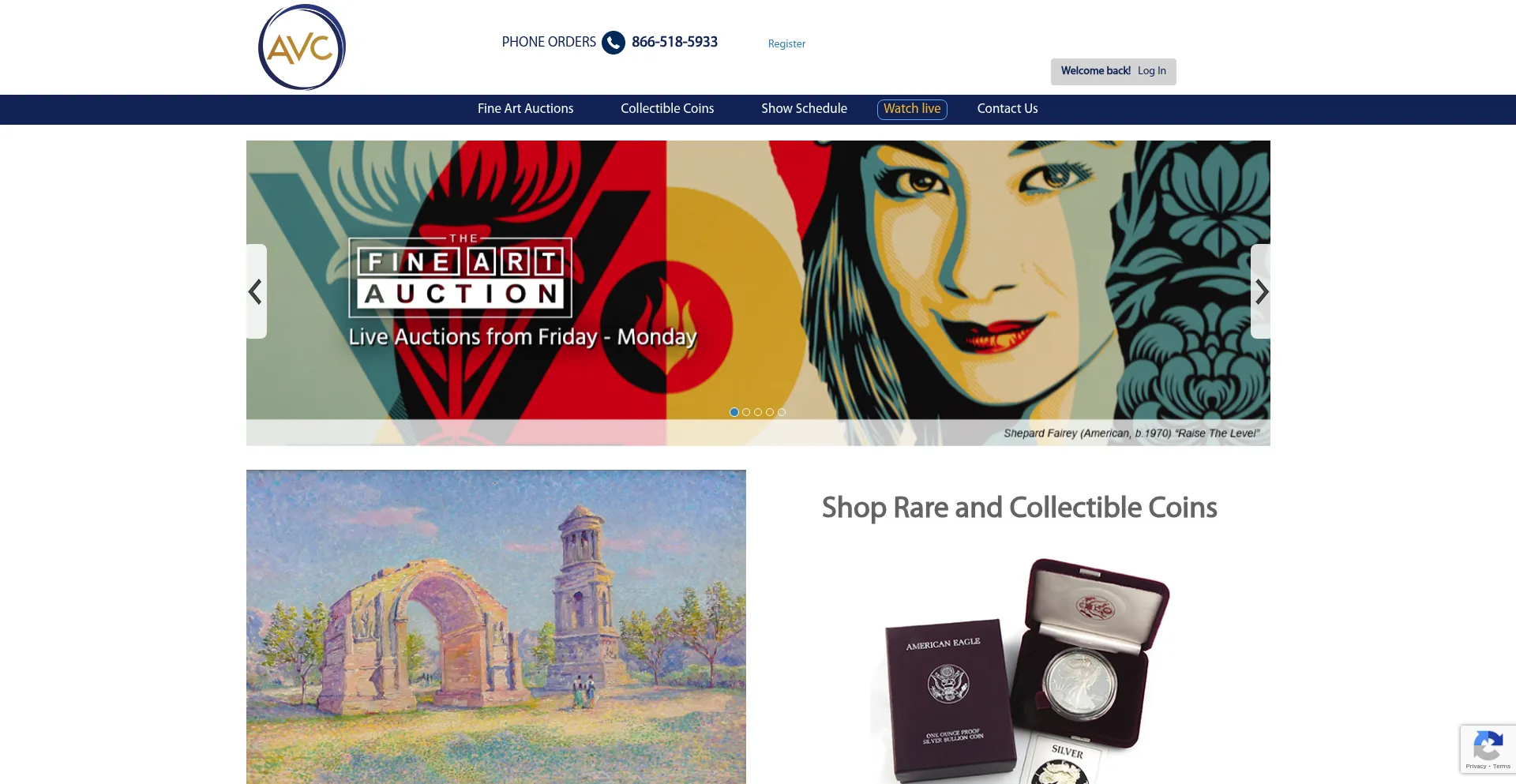 Website screenshot of Shopavc.com