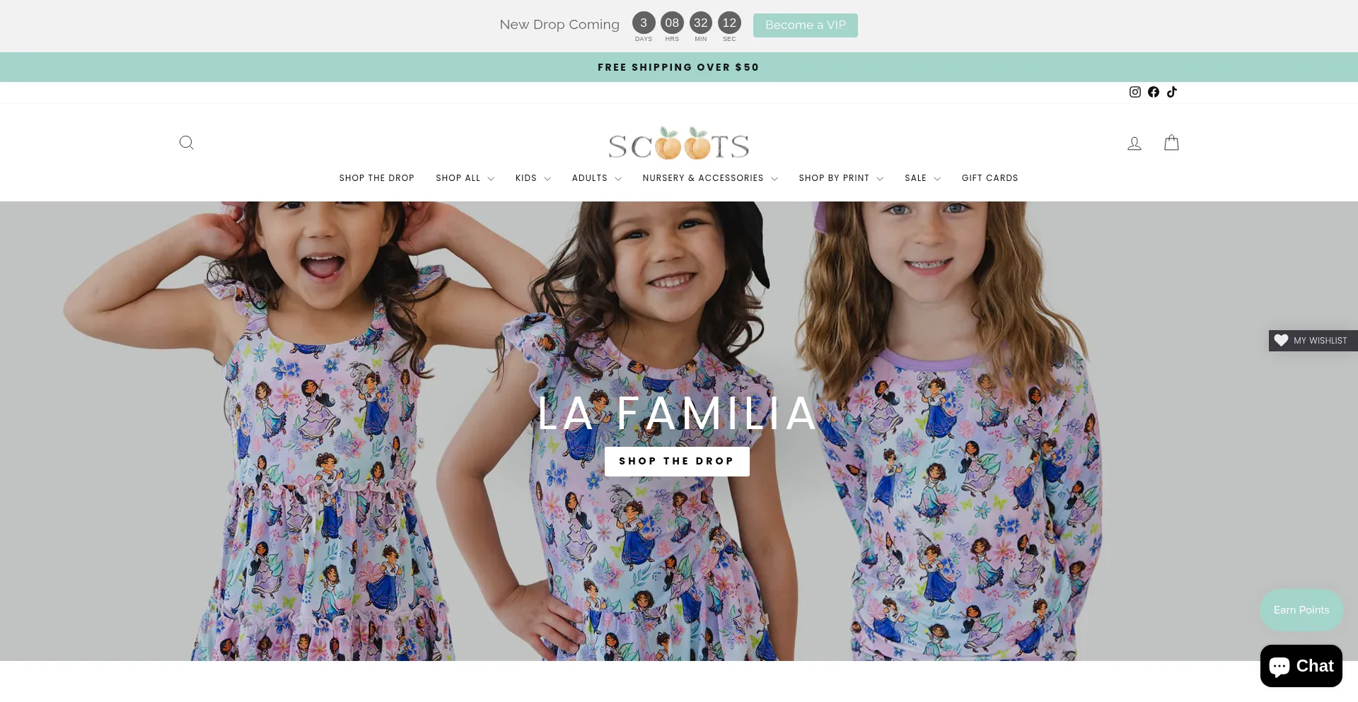 Website screenshot of Shopscoots.co