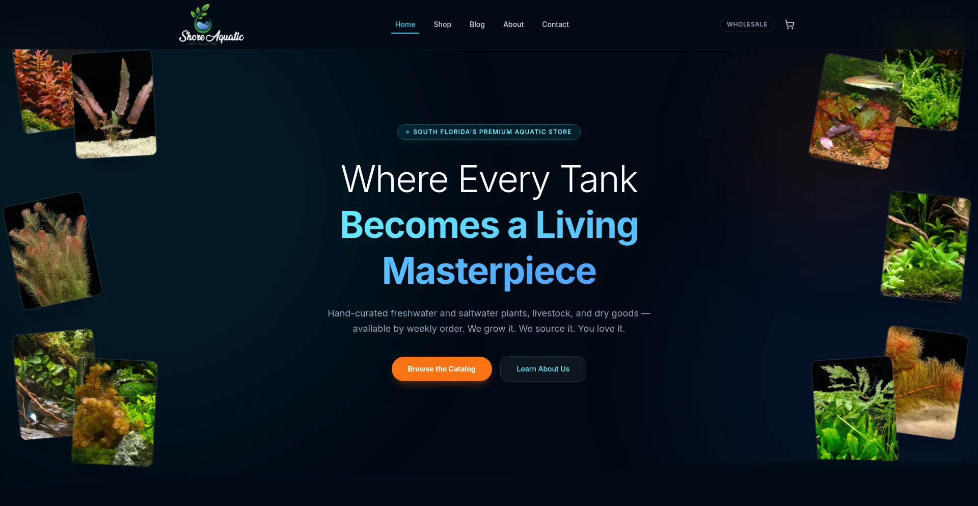 Shoreaquatic.com