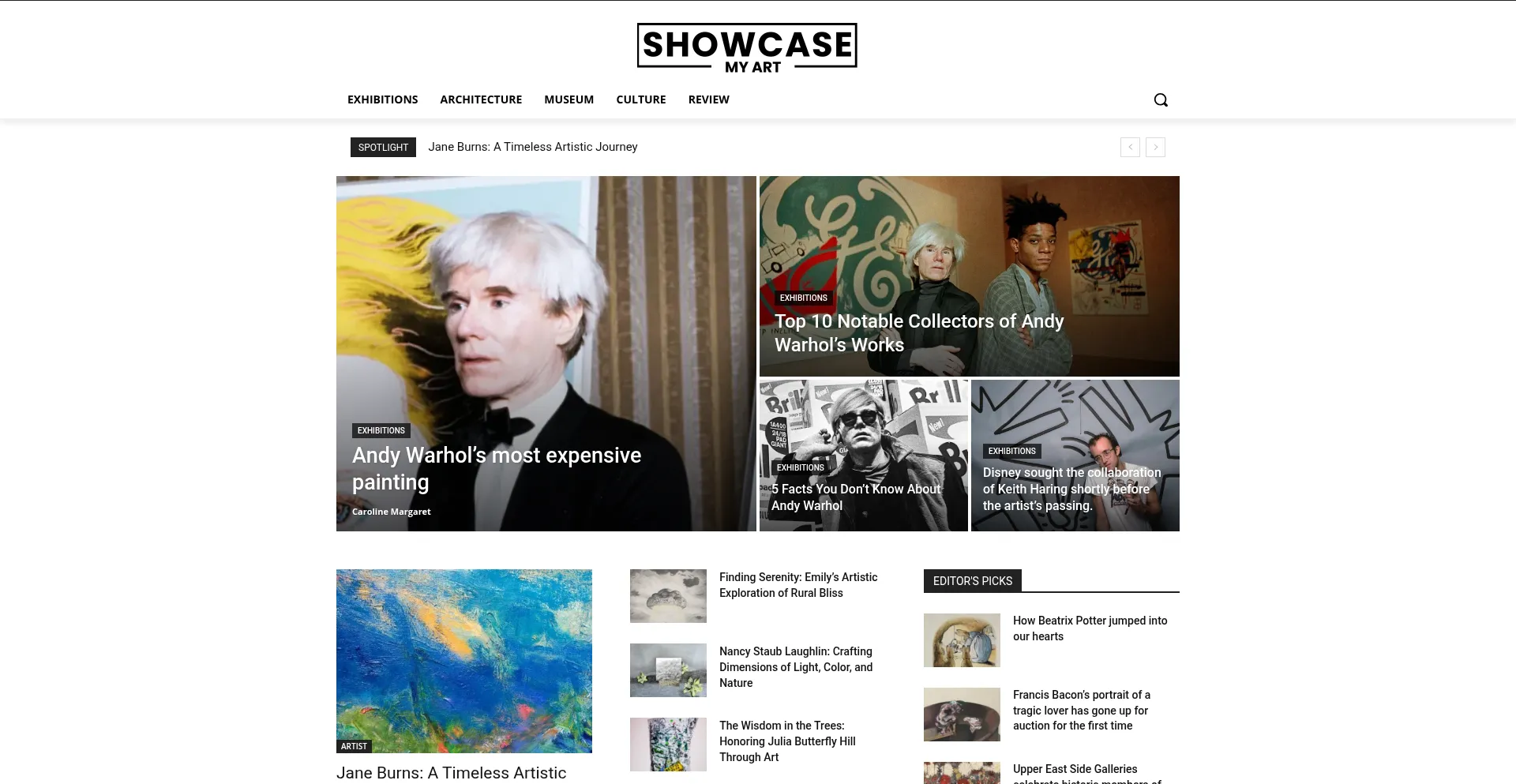 Website screenshot of Showcasemyart.com