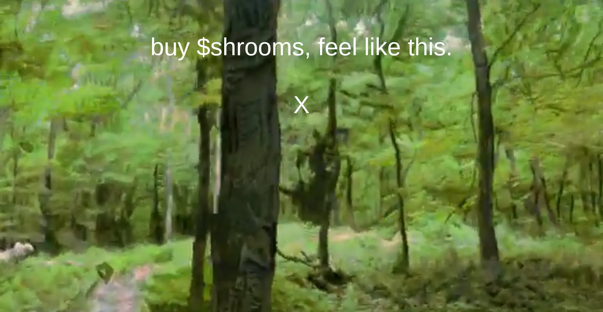Shroomsonsol.xyz
