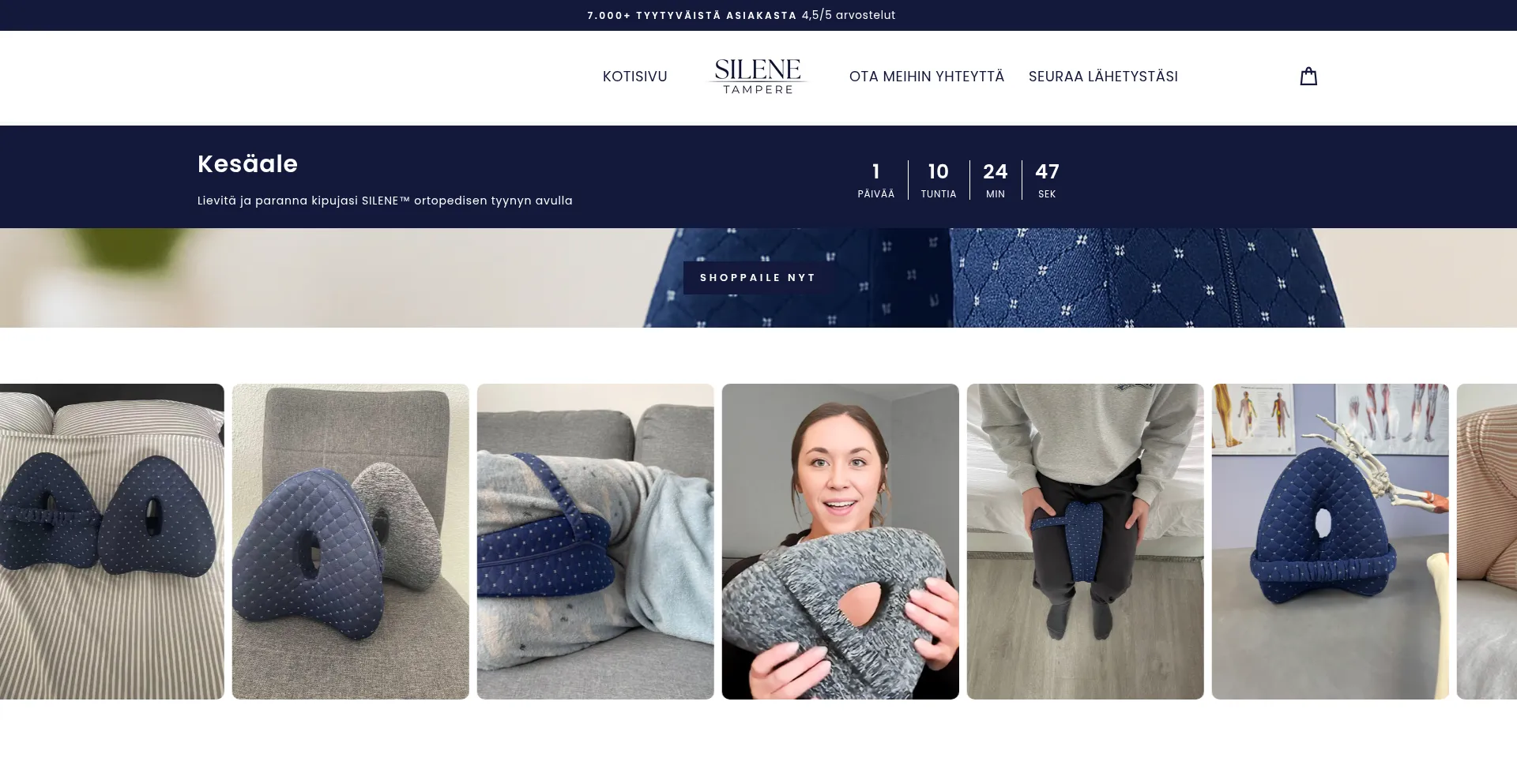 Website screenshot of Silene.fi
