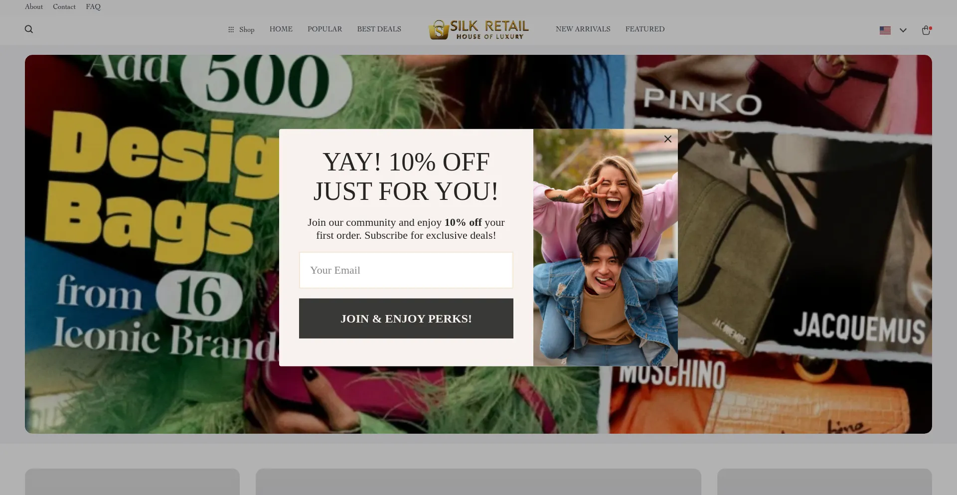 Website screenshot of Silkretail.com