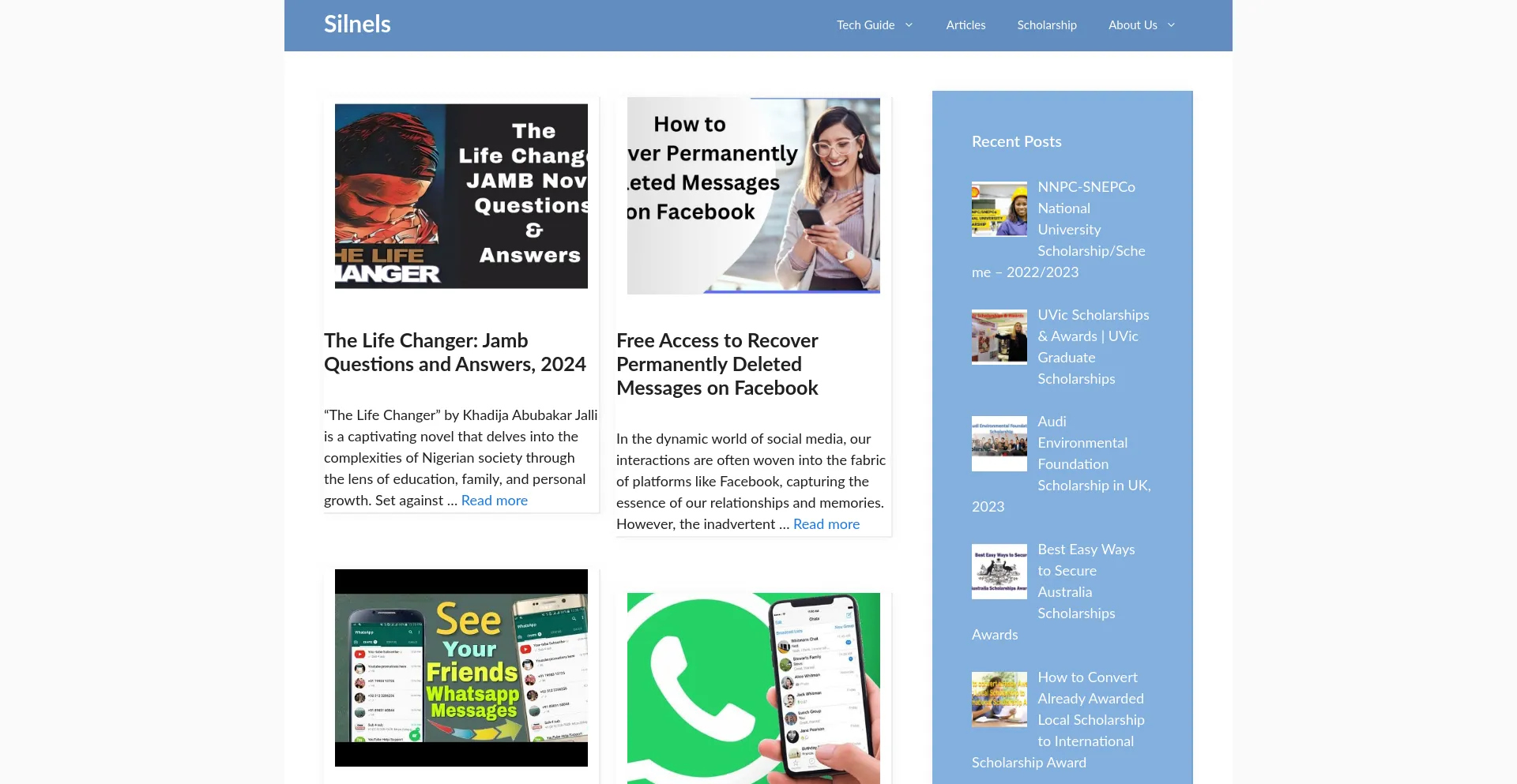 Website screenshot of Silnels.com
