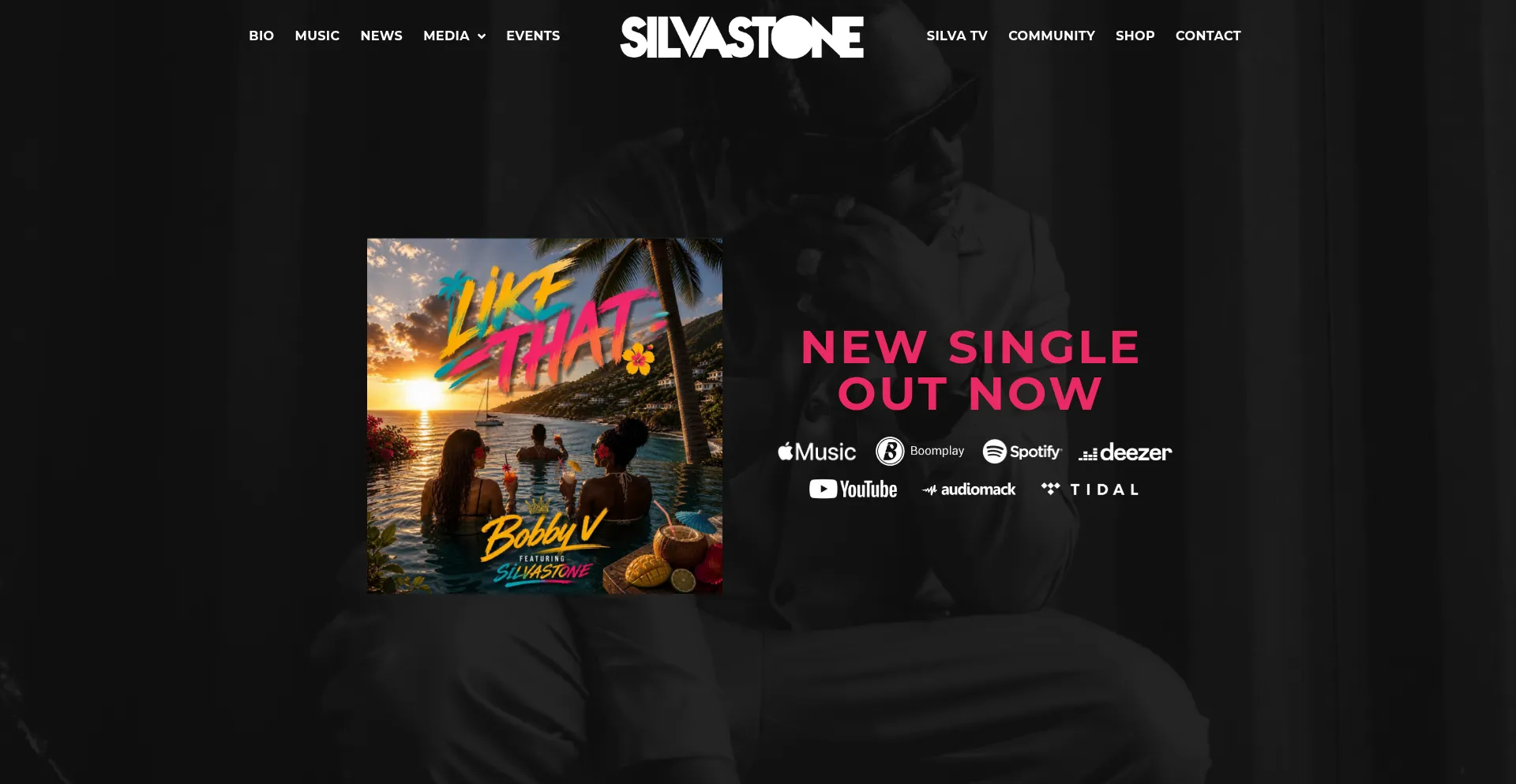 Silvastonemusic.com