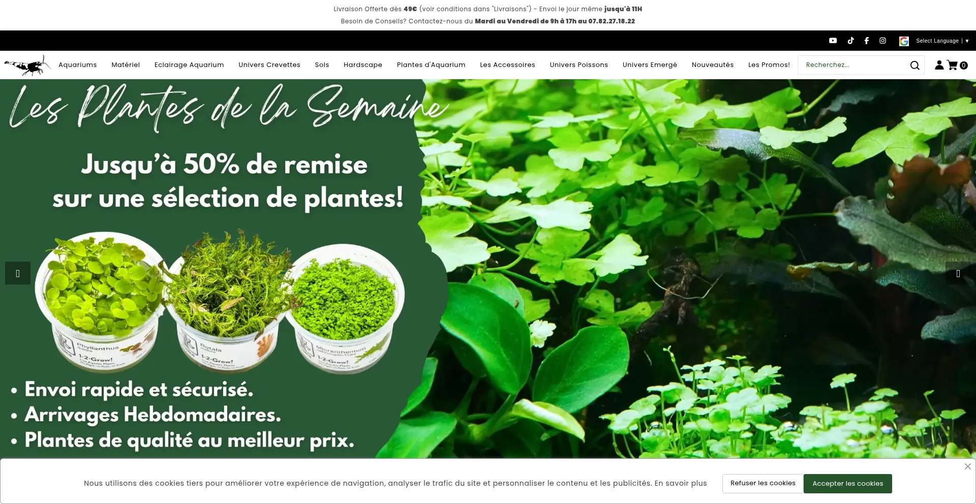 Website screenshot of Skaii-and-shrimps.fr