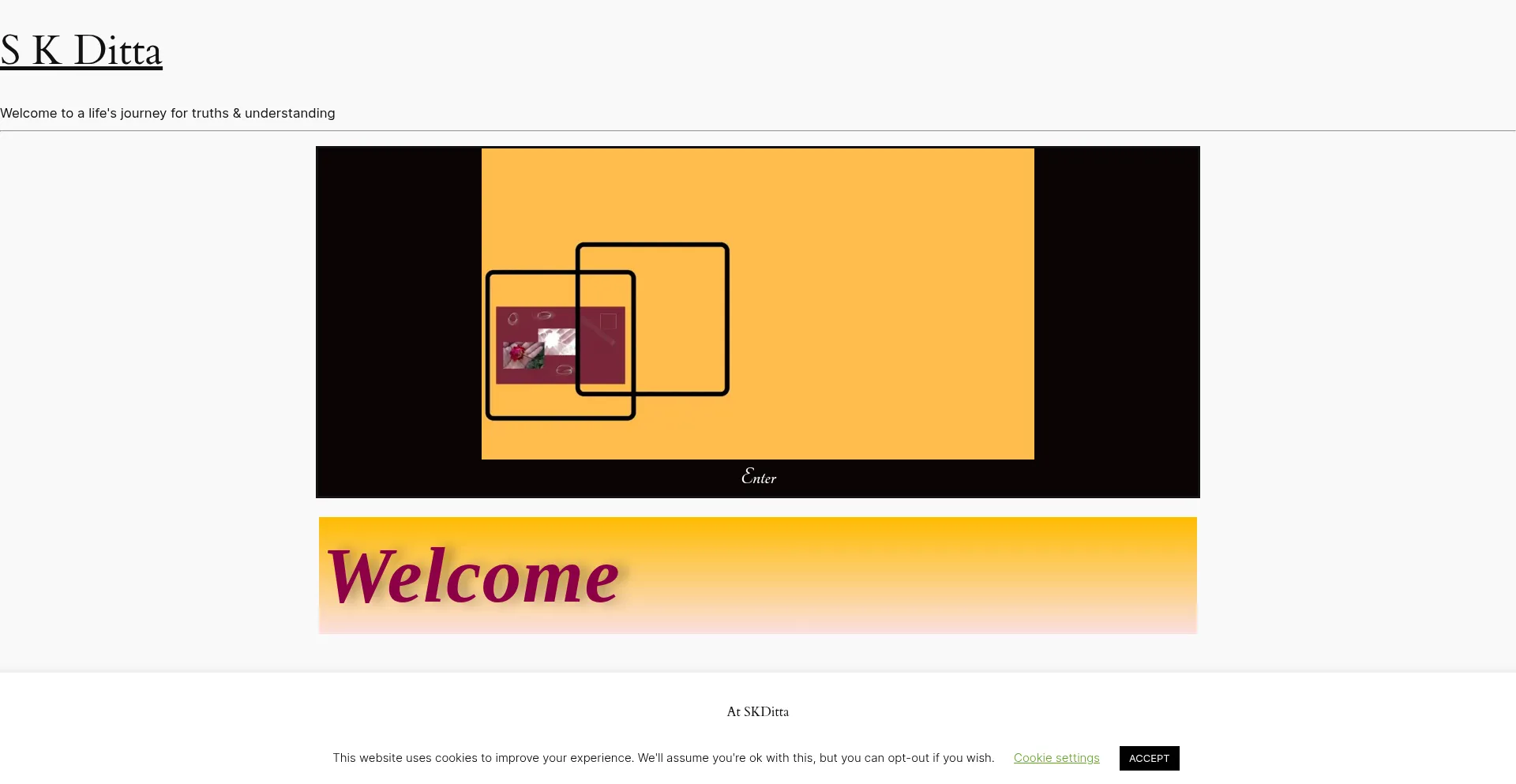 Website screenshot of Skditta.com