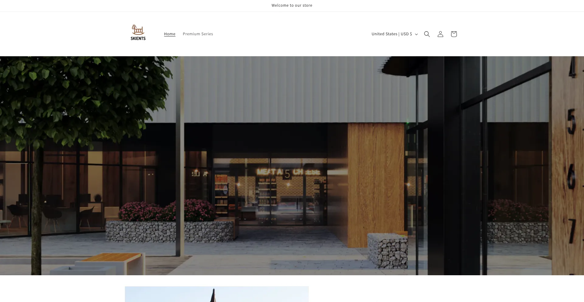 Website screenshot of Skietns.com