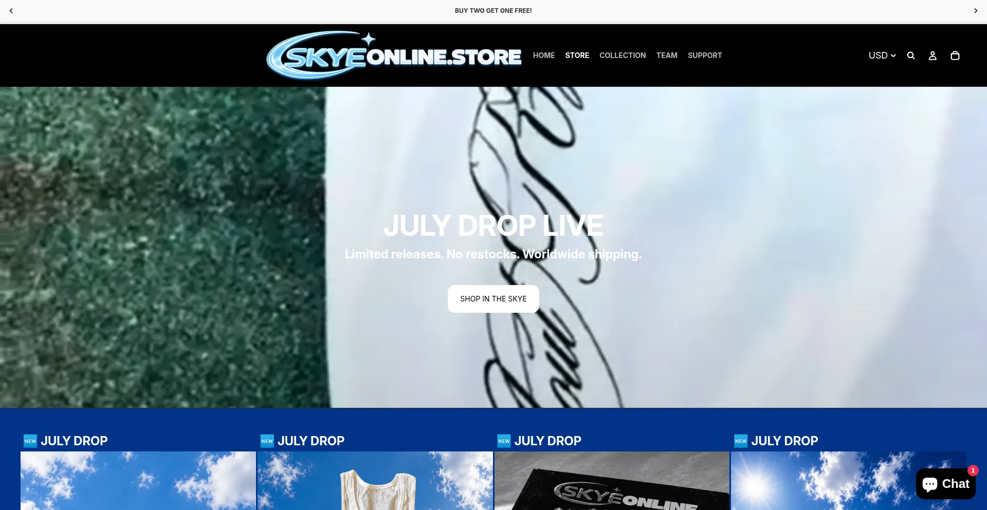 Skyeonline.store