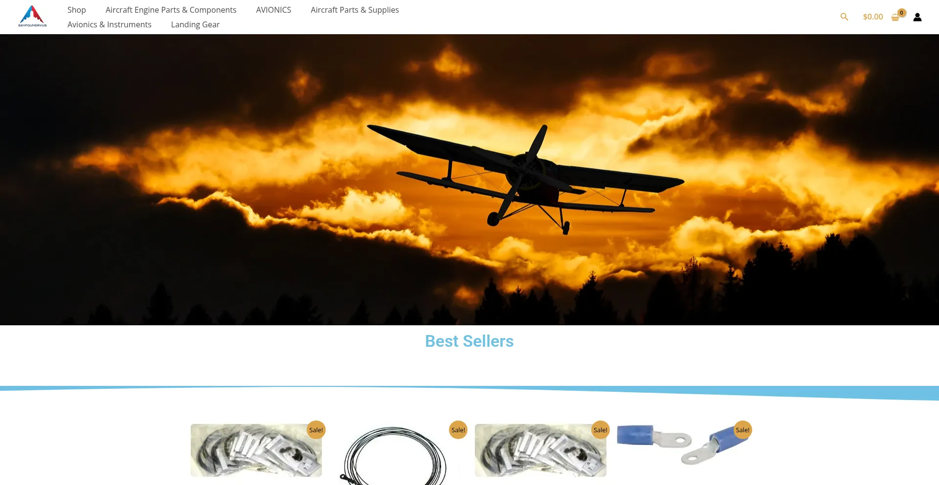 Skyfoundryus.com