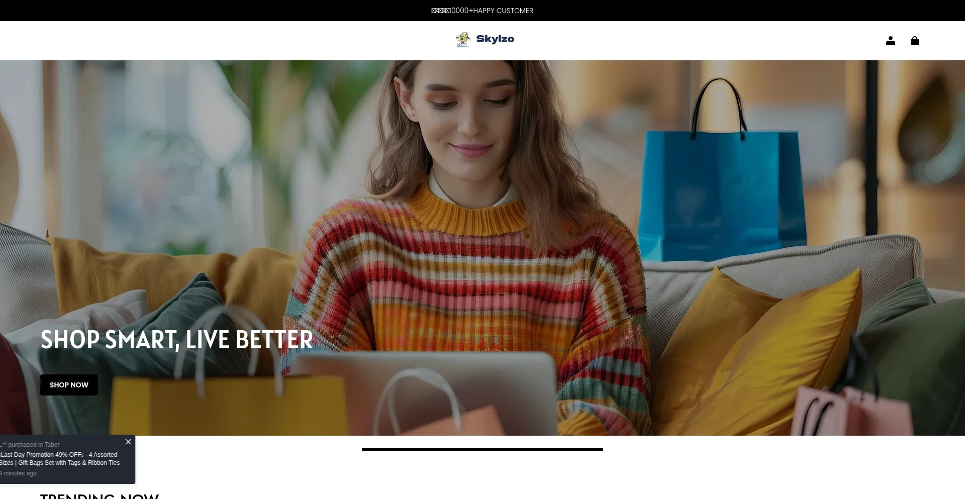 Skylzo.com