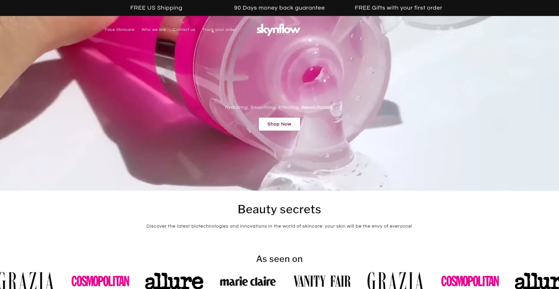 Skynflow.com