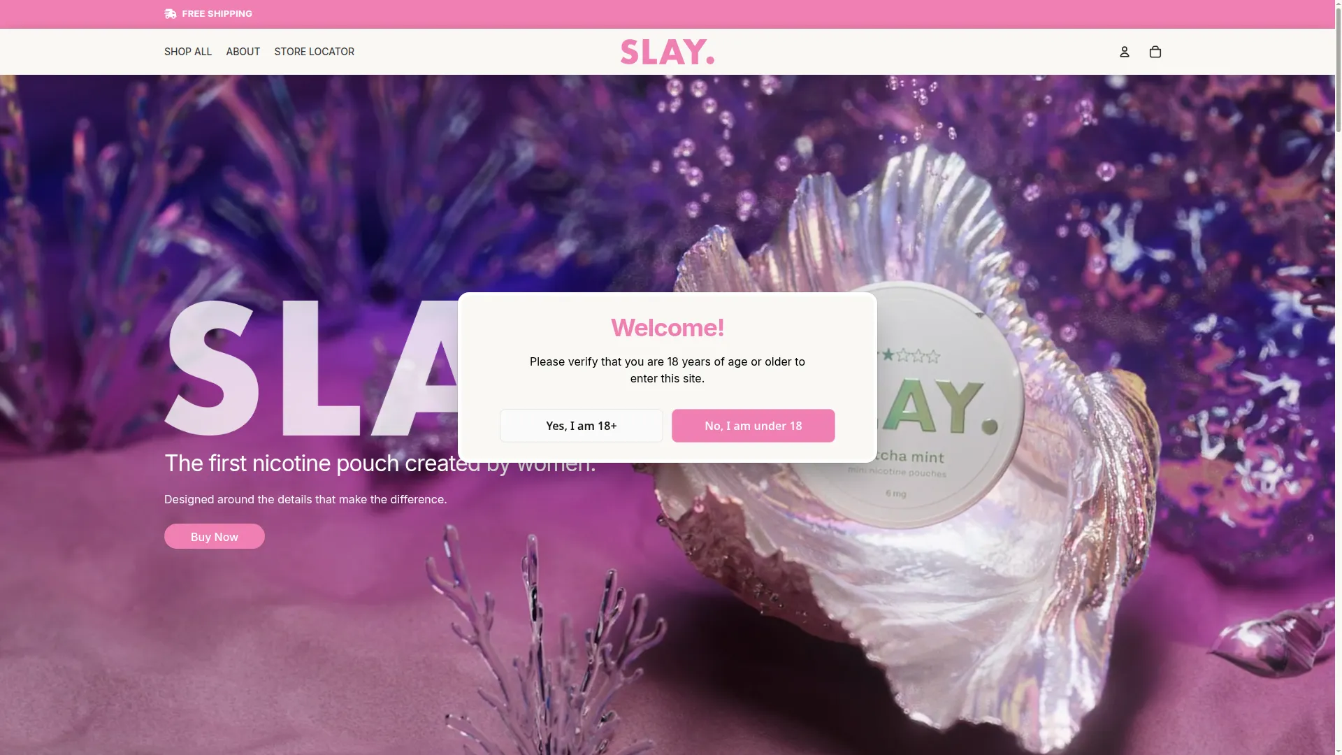 Slaypouches.com