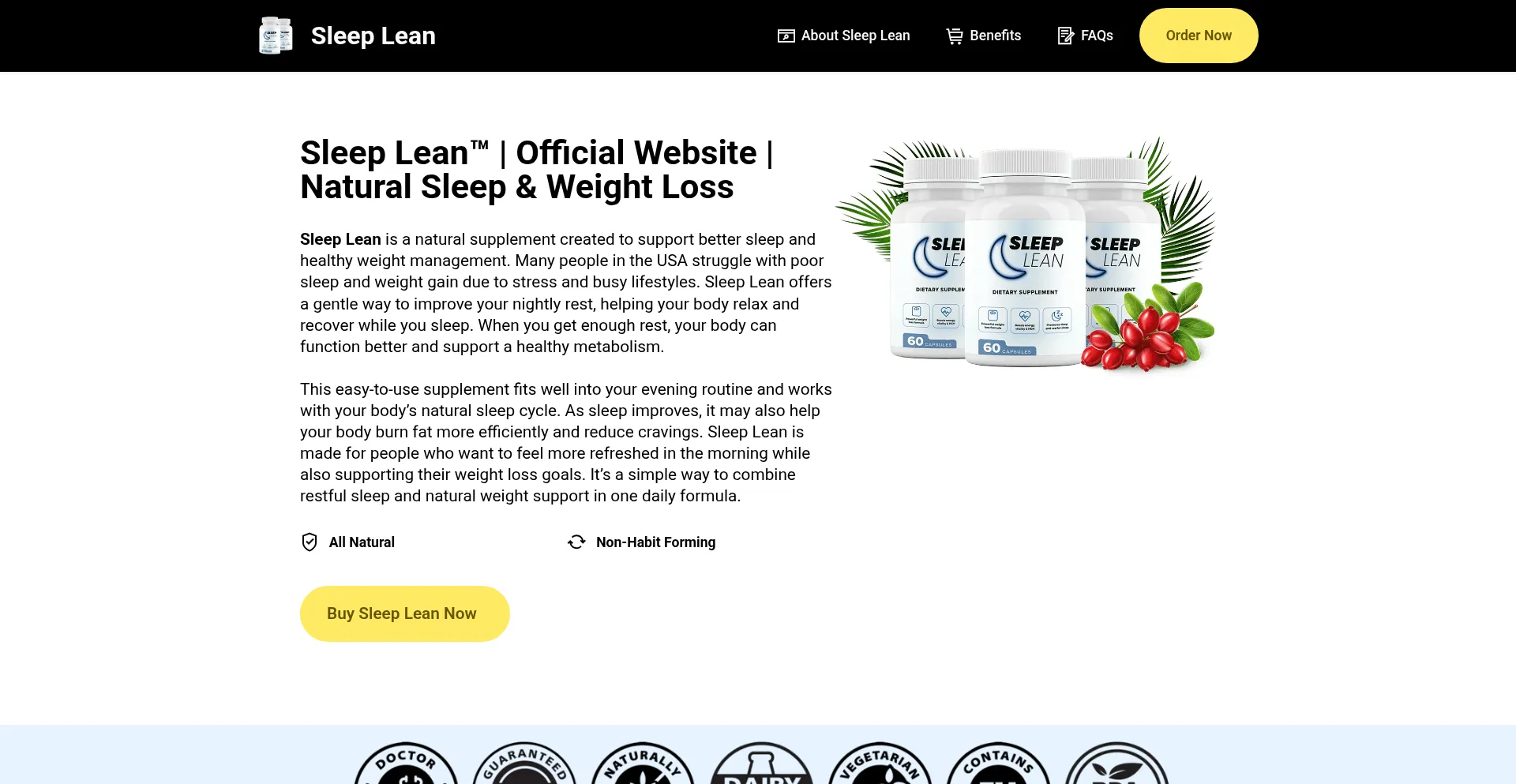 Website screenshot of Sleeplean-usa.us