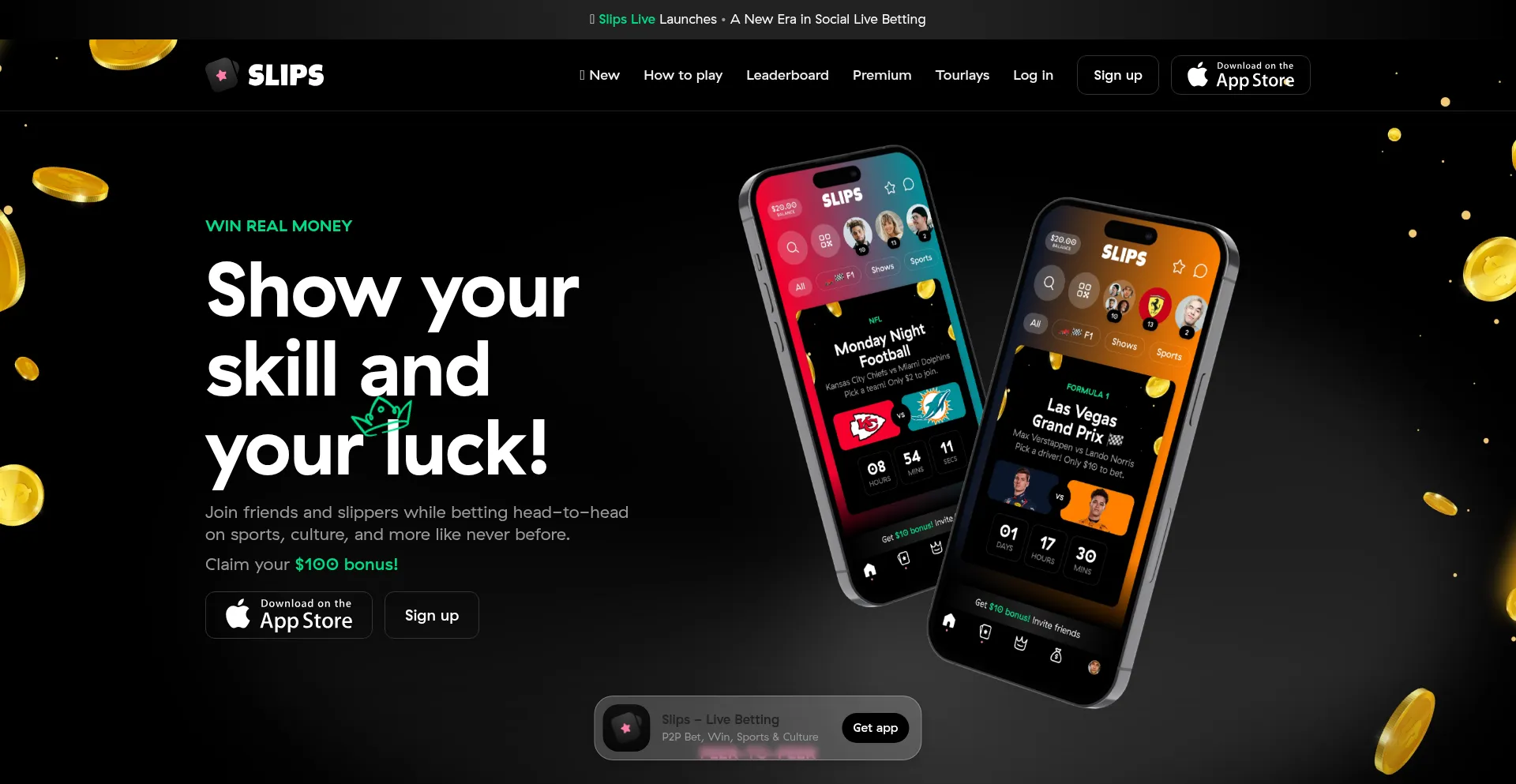 Website screenshot of Slips.com