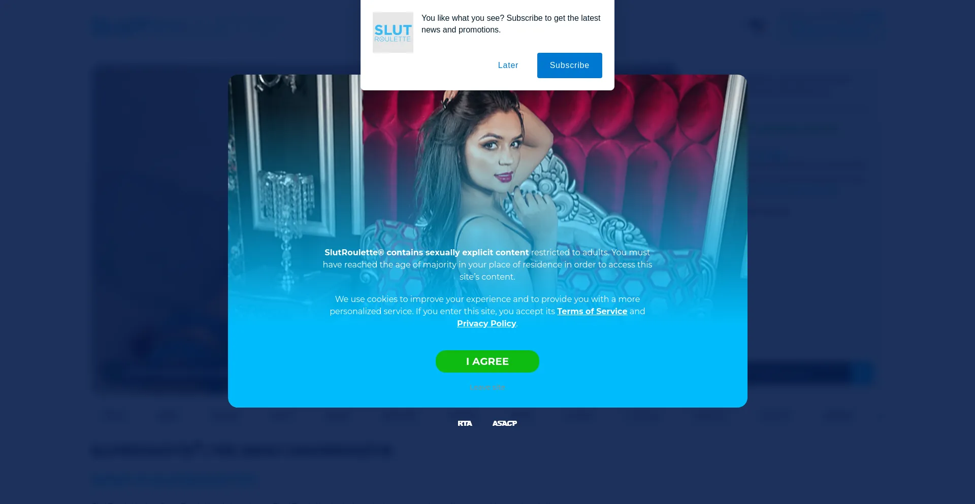 Website screenshot of Slutroulette.com