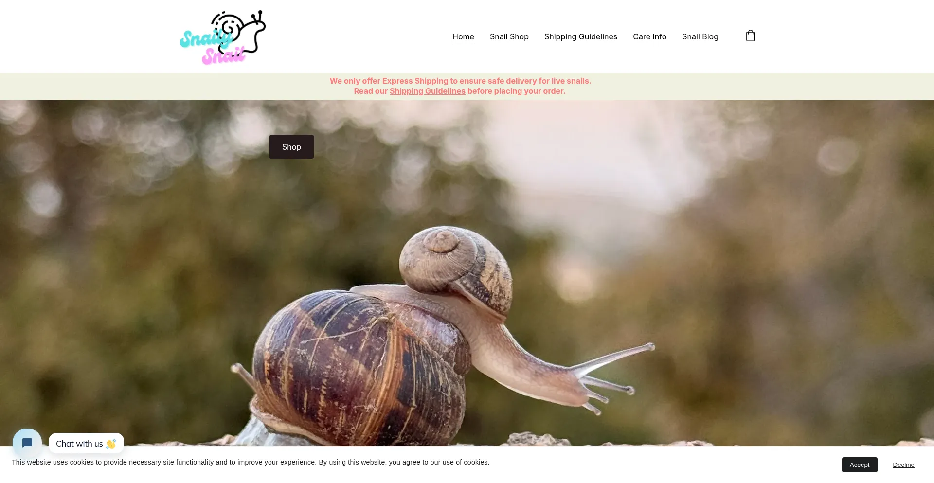 Website screenshot of Snailysnail.com