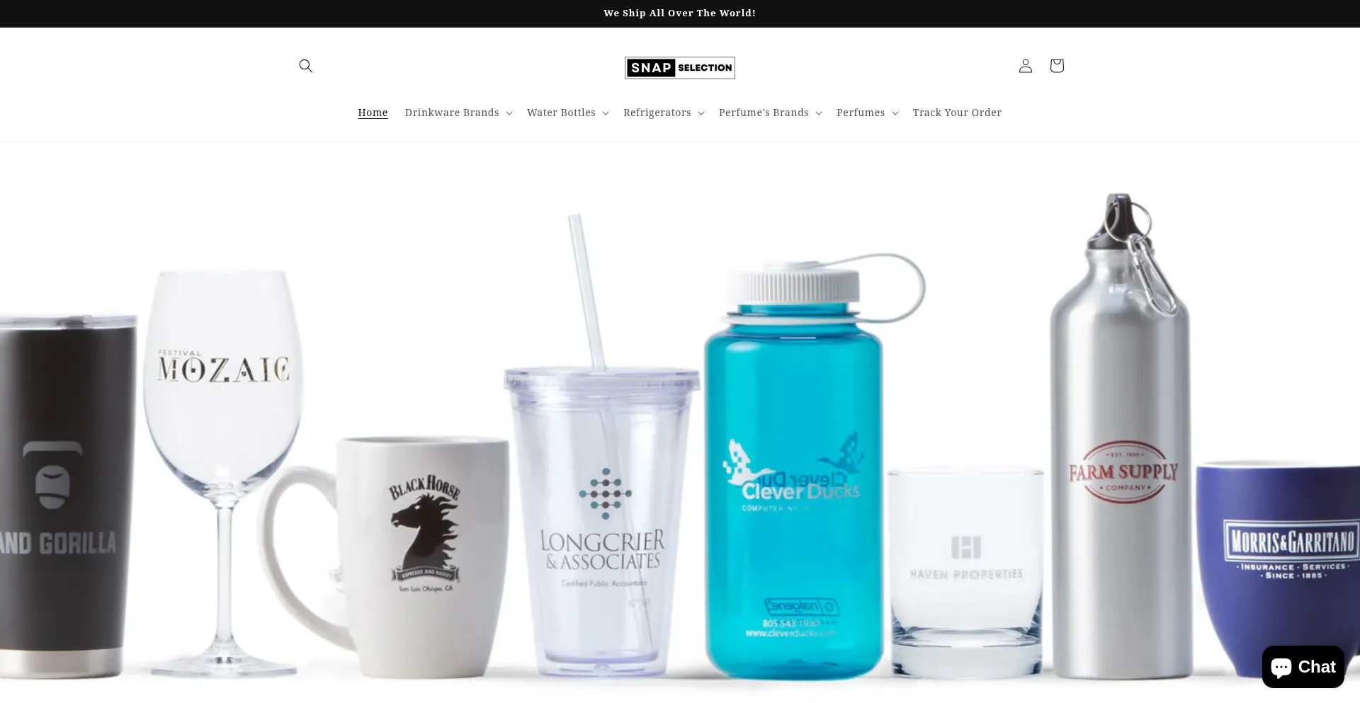 Website screenshot of Snapselection.com