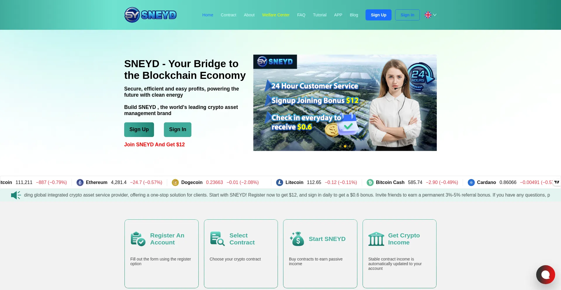 Website screenshot of Sneyd-mining.com