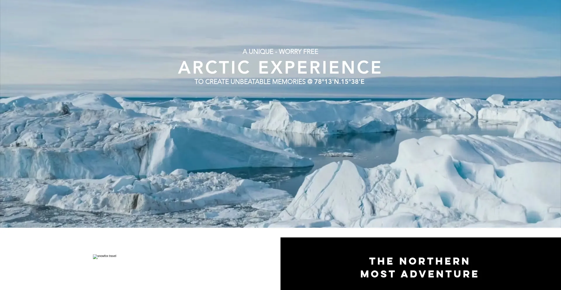 Website screenshot of Snowfoxtravel.com