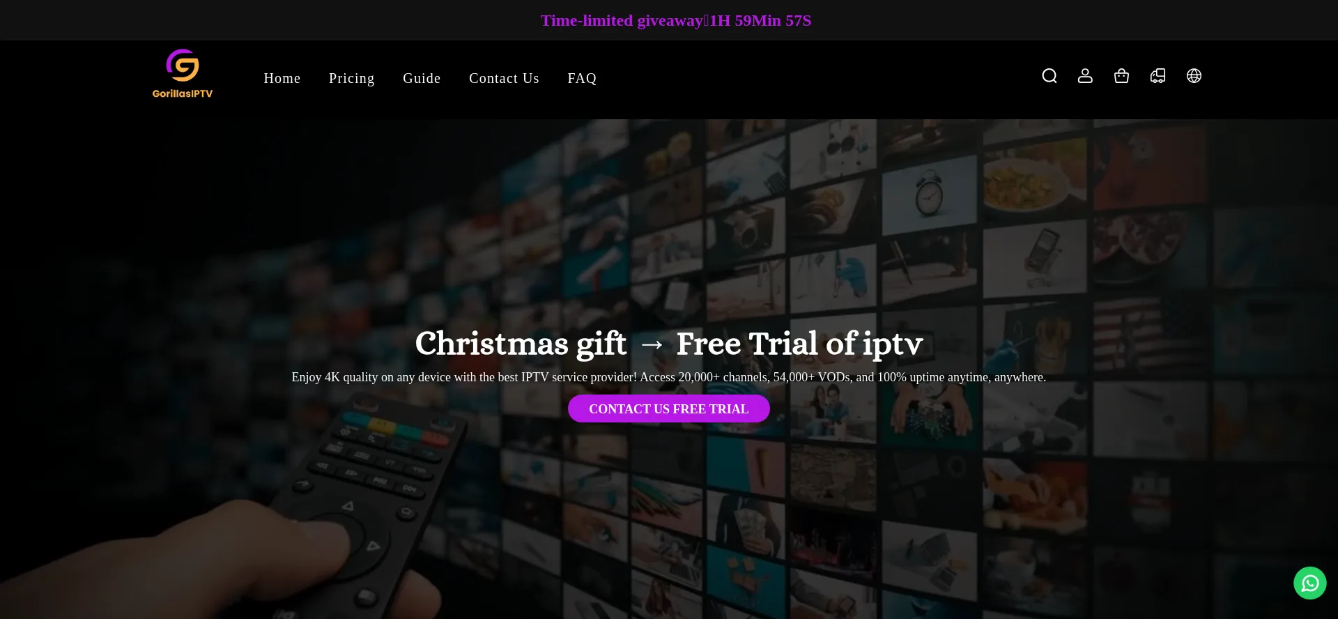 Snowmaniptv.com