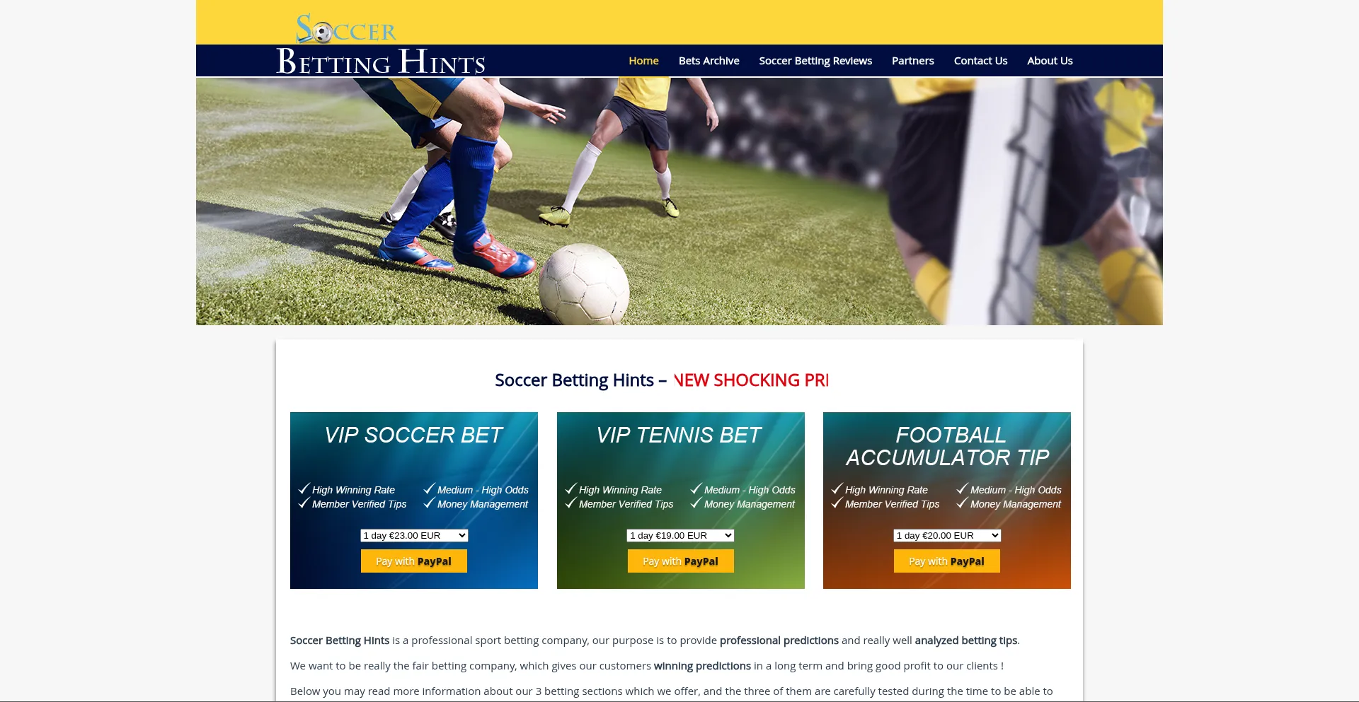 Website screenshot of Soccerbettinghints.com