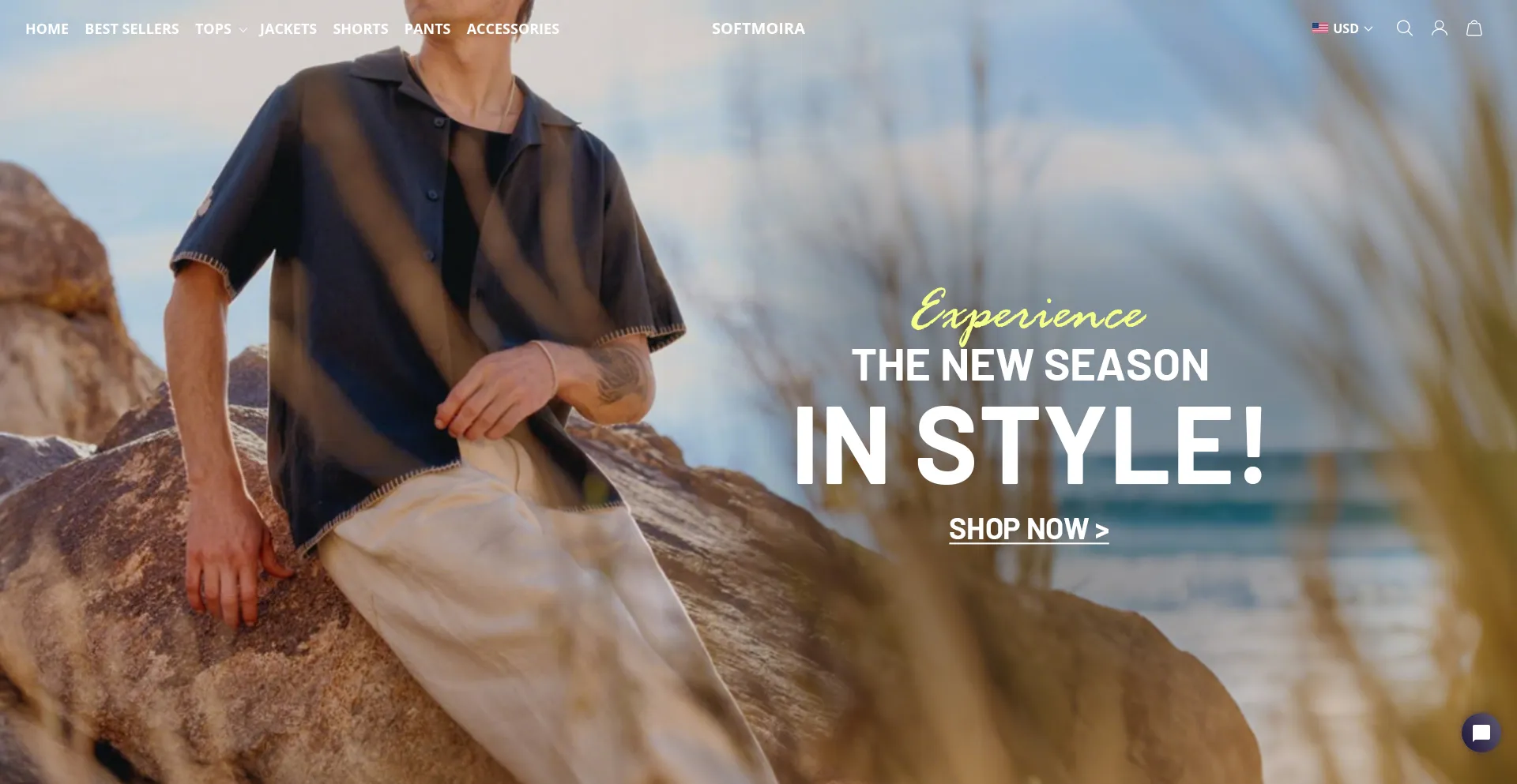 Website screenshot of Softmoira.com
