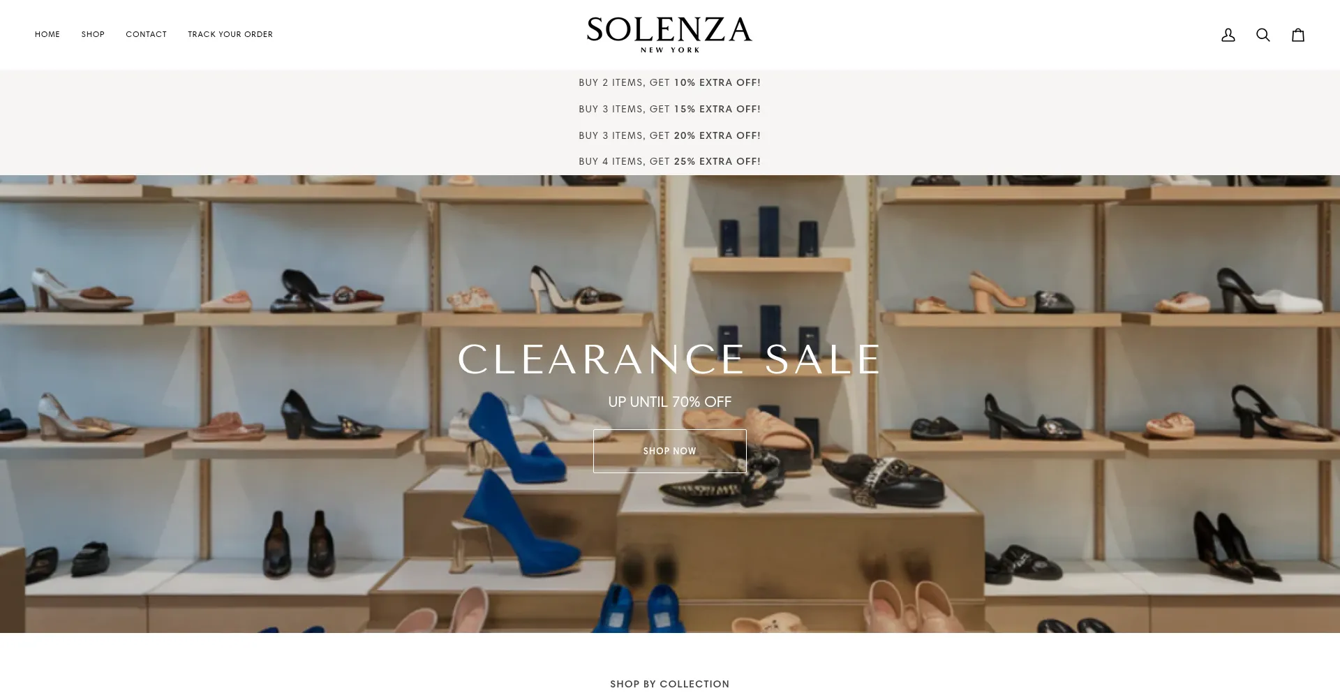 Website screenshot of Solenza-newyork.com