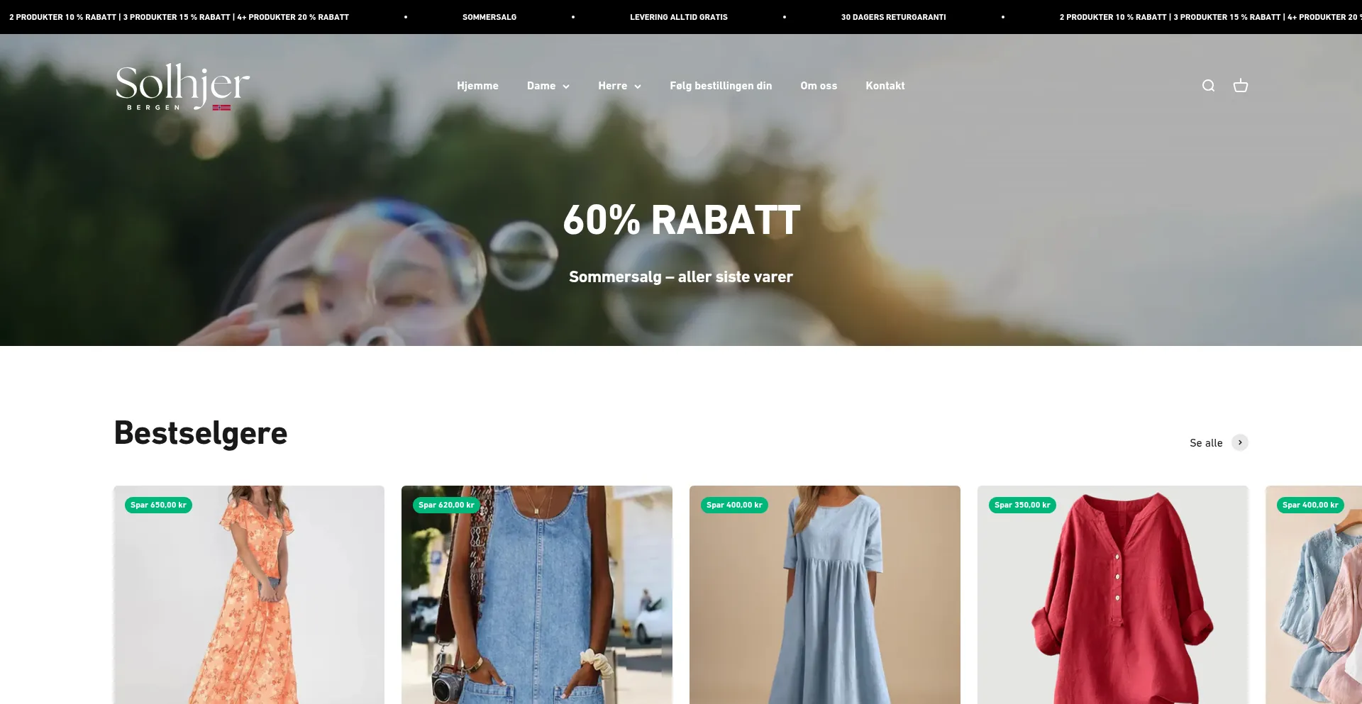 Website screenshot of Solhjerbergen.com