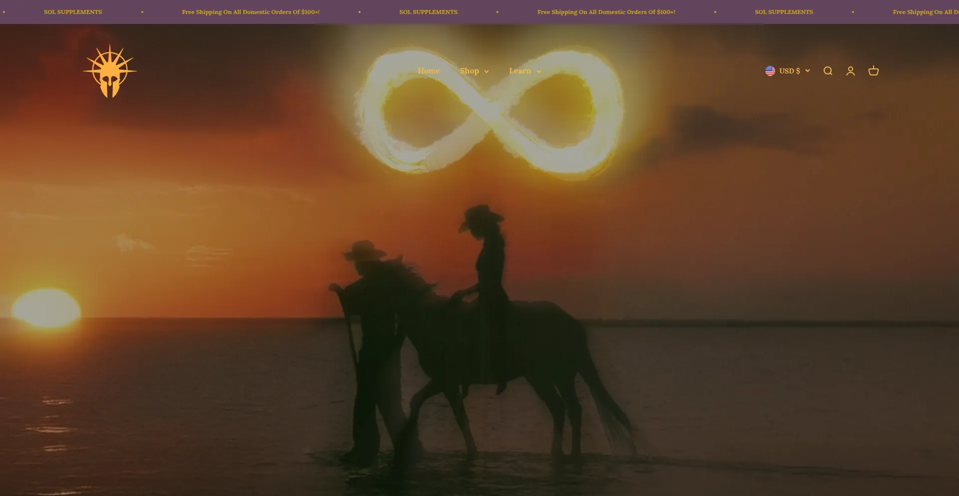 Website screenshot of Solsupps.com