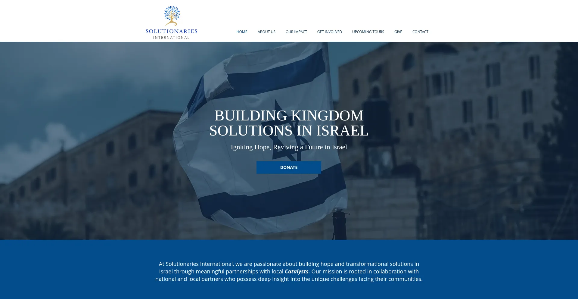 Solutionariesinternational.com