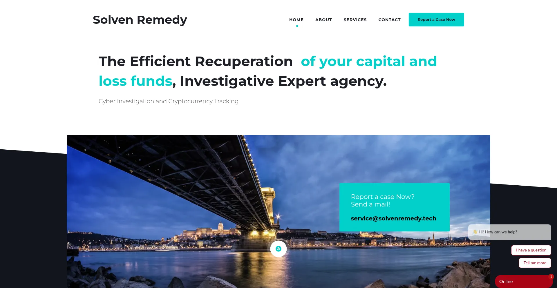 Solvenremedy.tech
